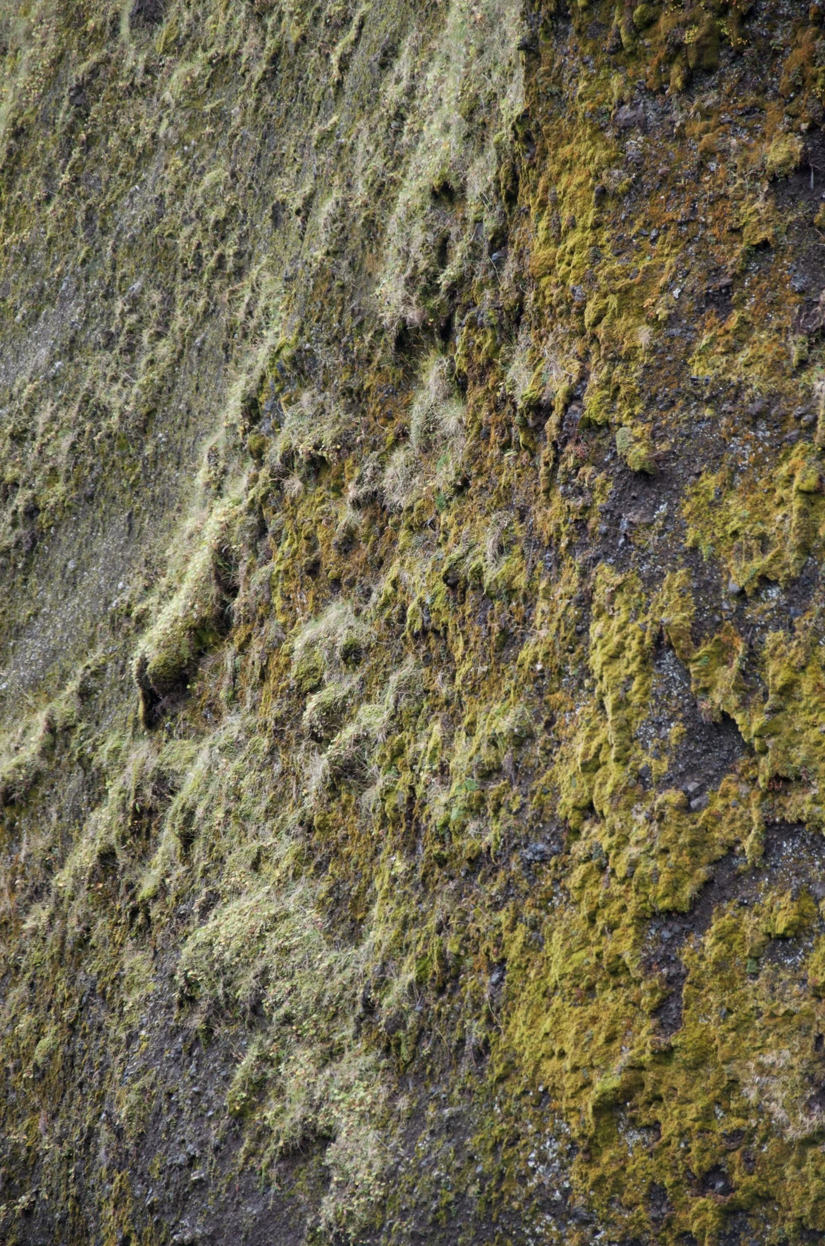 19 DSC_0236.jpg
