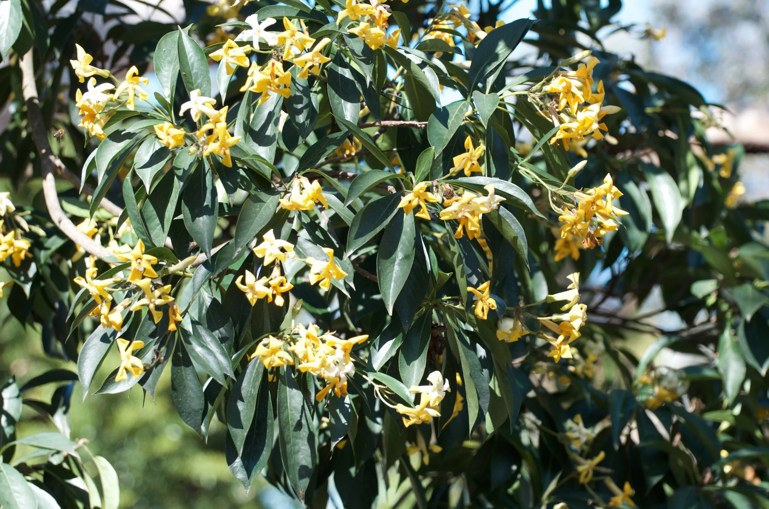 57 DSC_4554.jpg