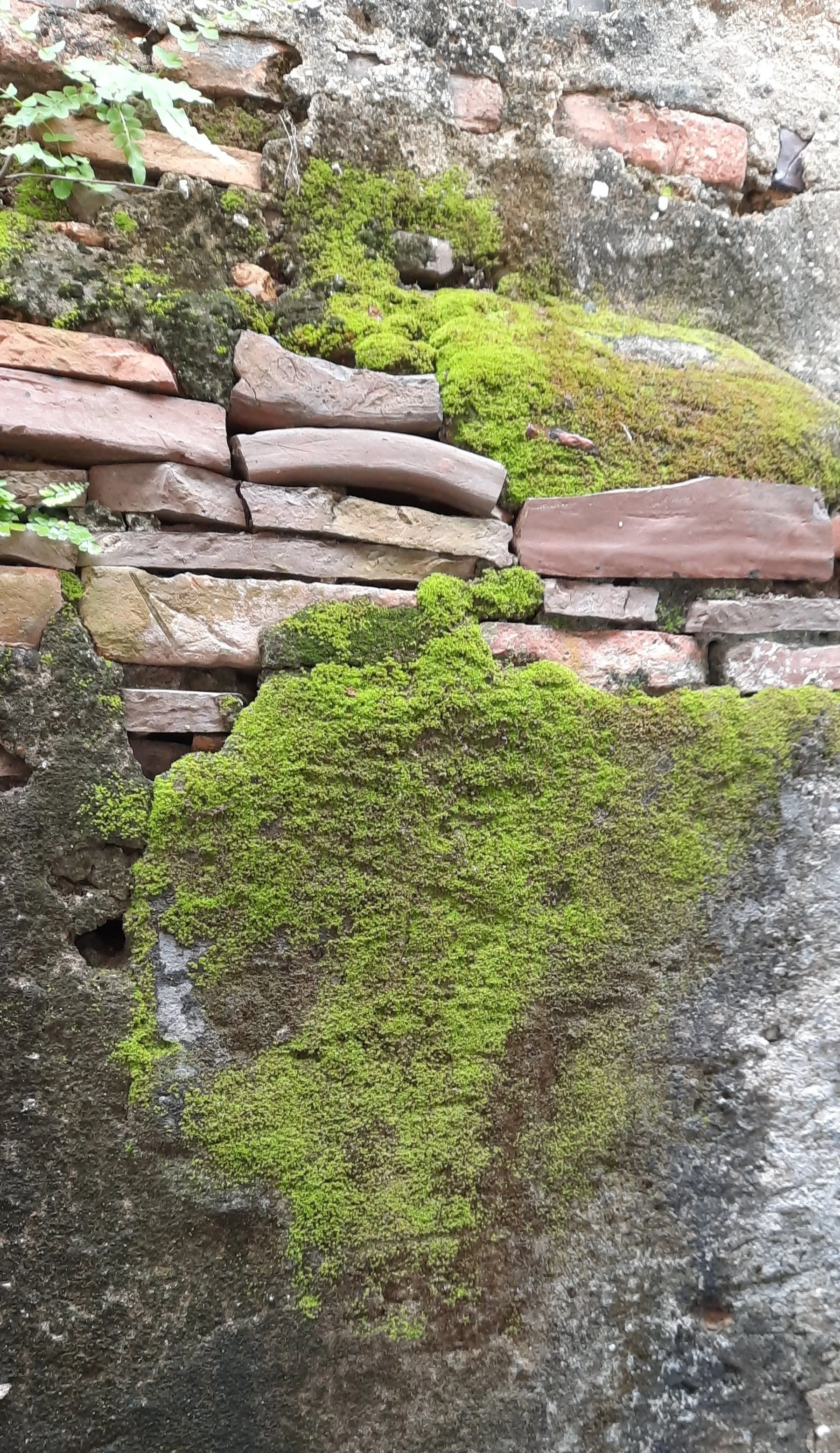 60 20251031_113154(1).jpg