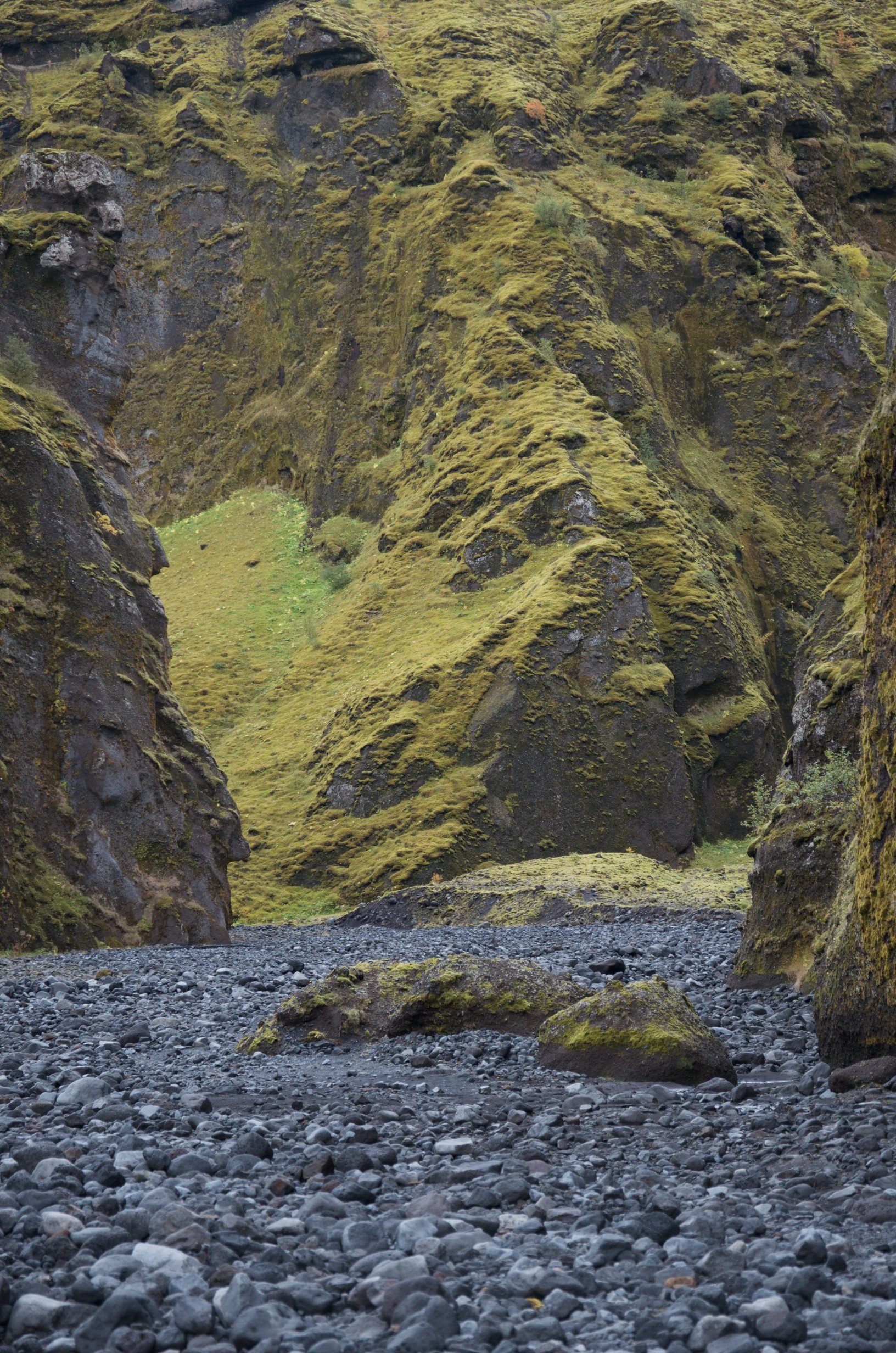 06 DSC_0235.jpg