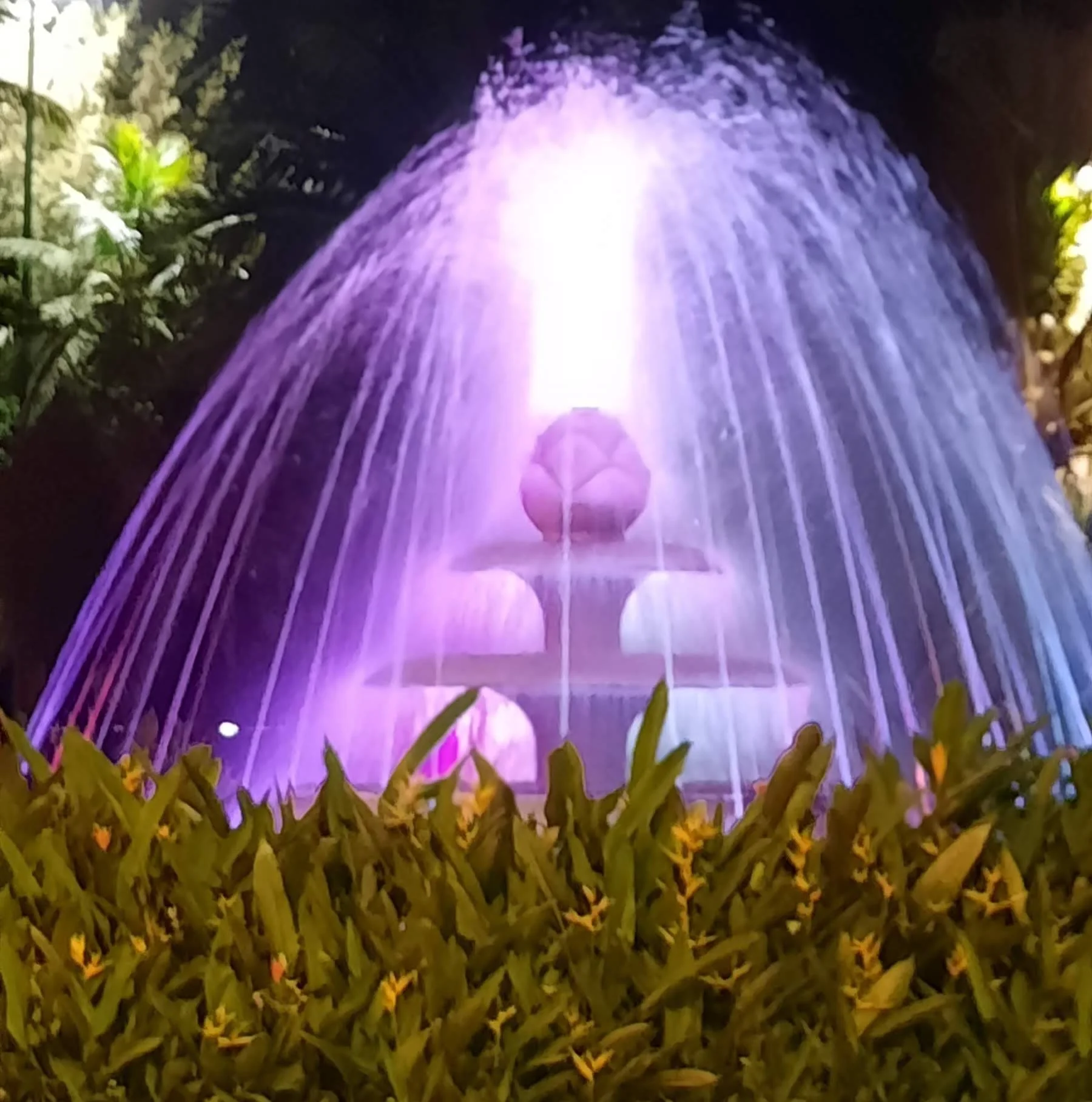 53 20251109_202812(1).jpg