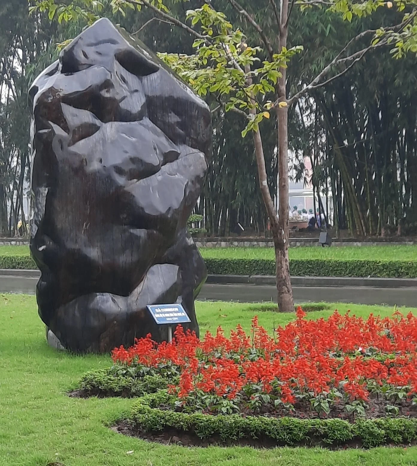 47 20251030_094115(1).jpg