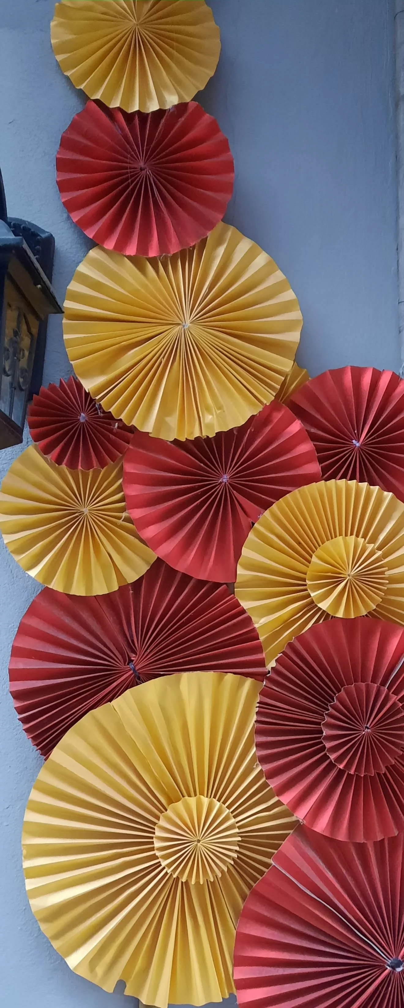 39 20251101_123451.jpg