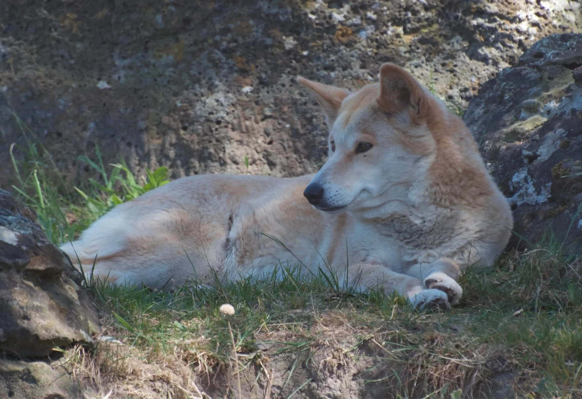 05 DSC_4659.jpg