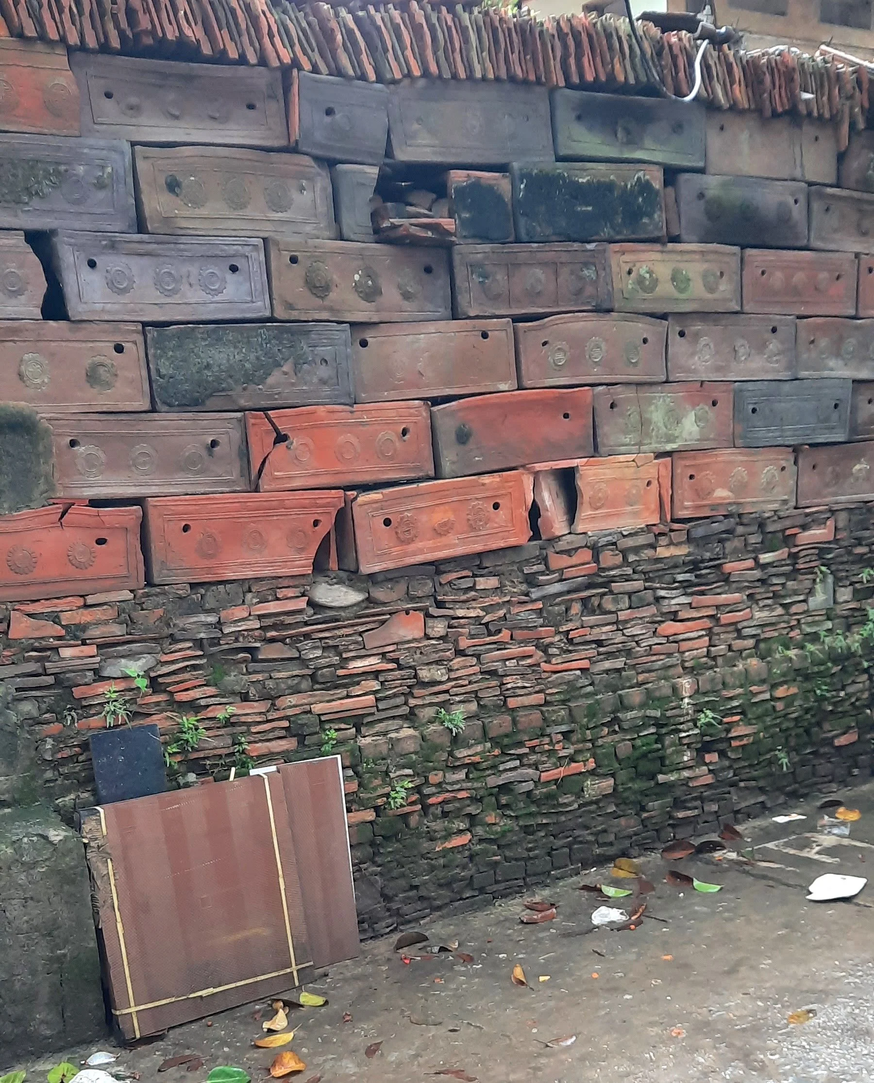 59 20251031_110816(1).jpg