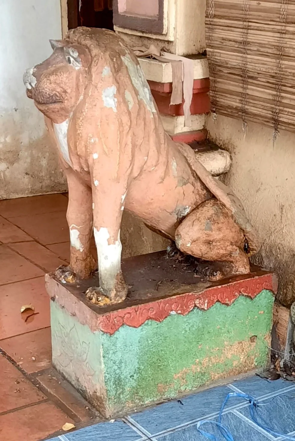 51 20251031_101710(1).jpg