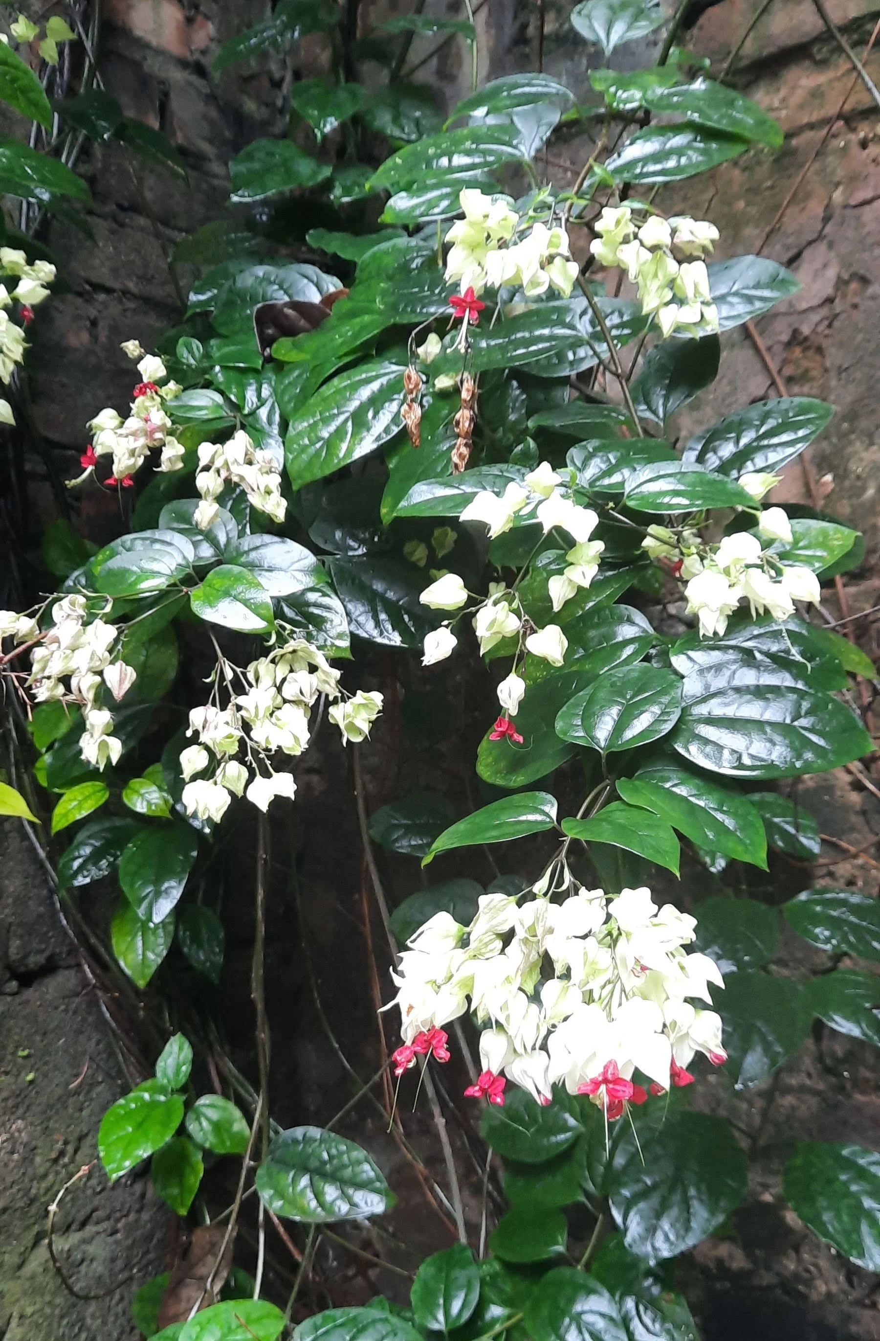 58 20251101_105753(1).jpg