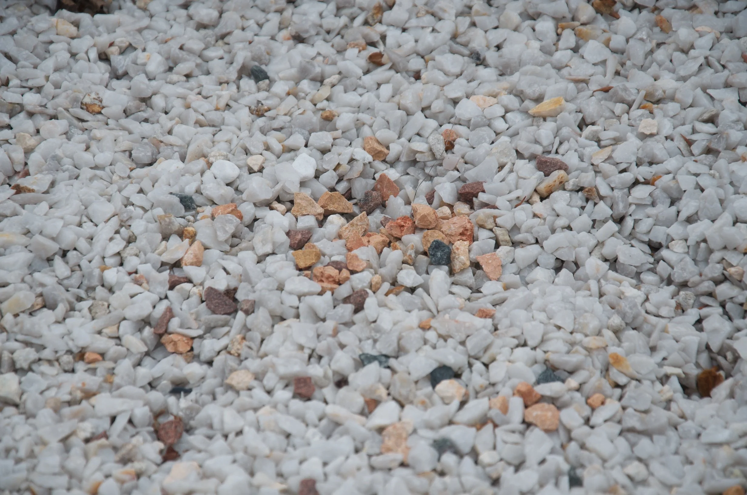 05 DSC_0948.jpg