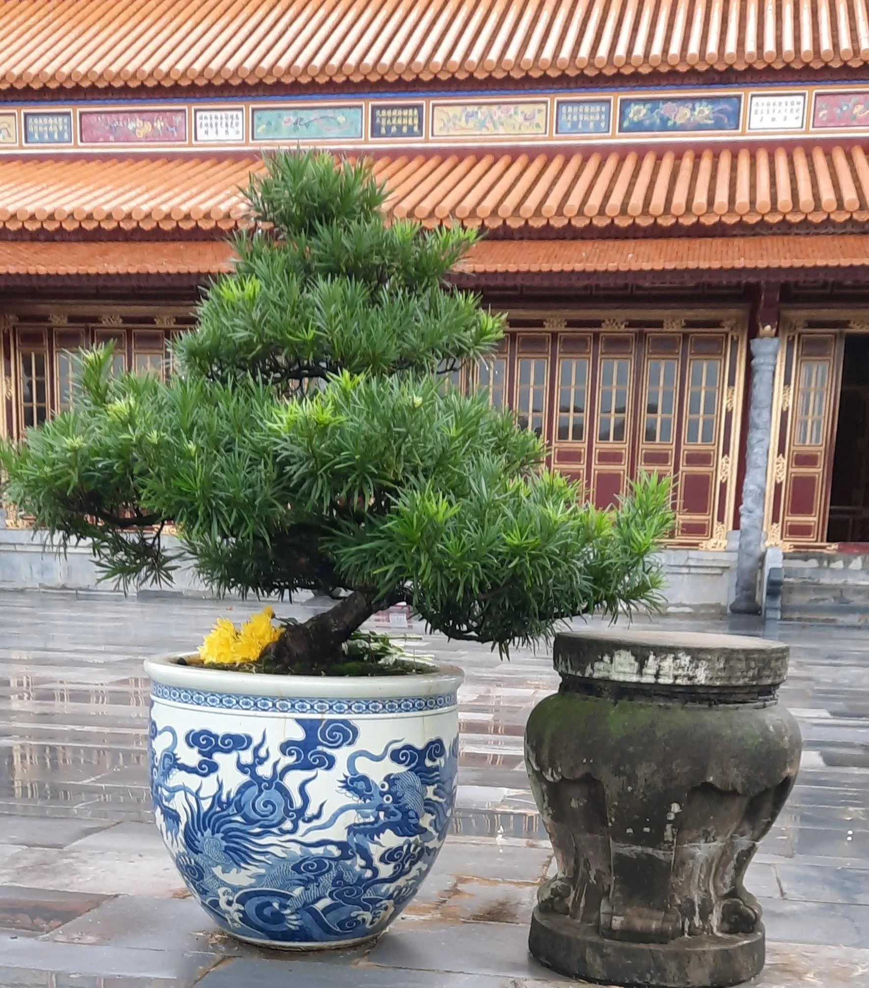 55 20251106_160502(1).jpg