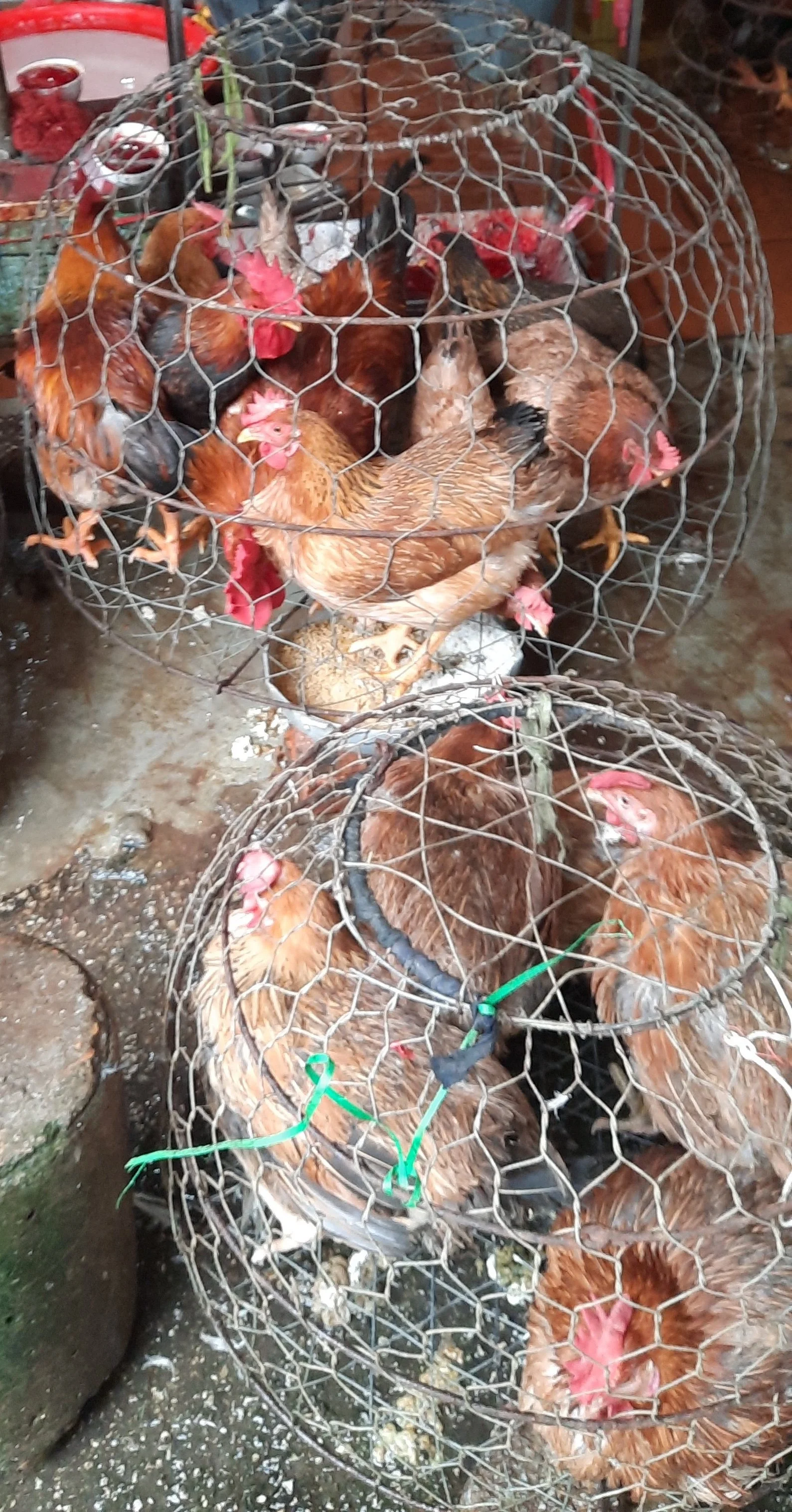 51 20251031_095047.jpg