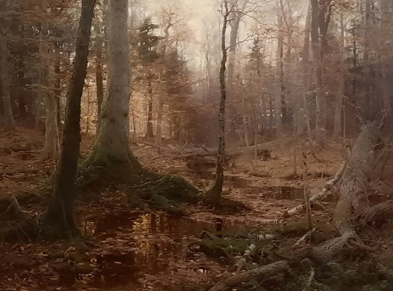 23 20250916_103704.jpg