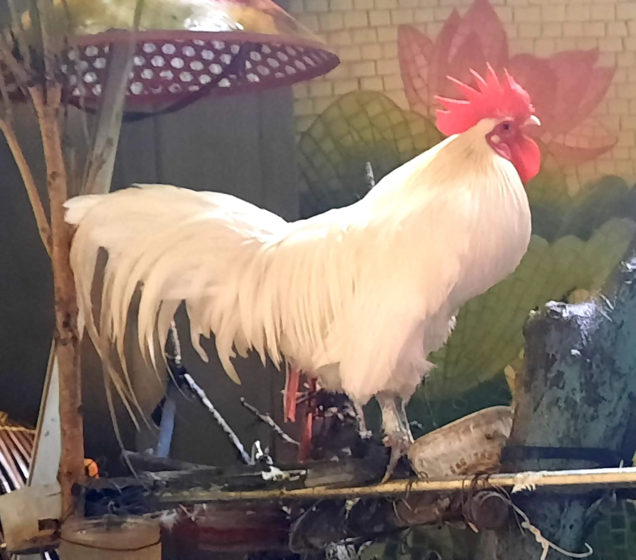 18 20251101_111204(1).jpg