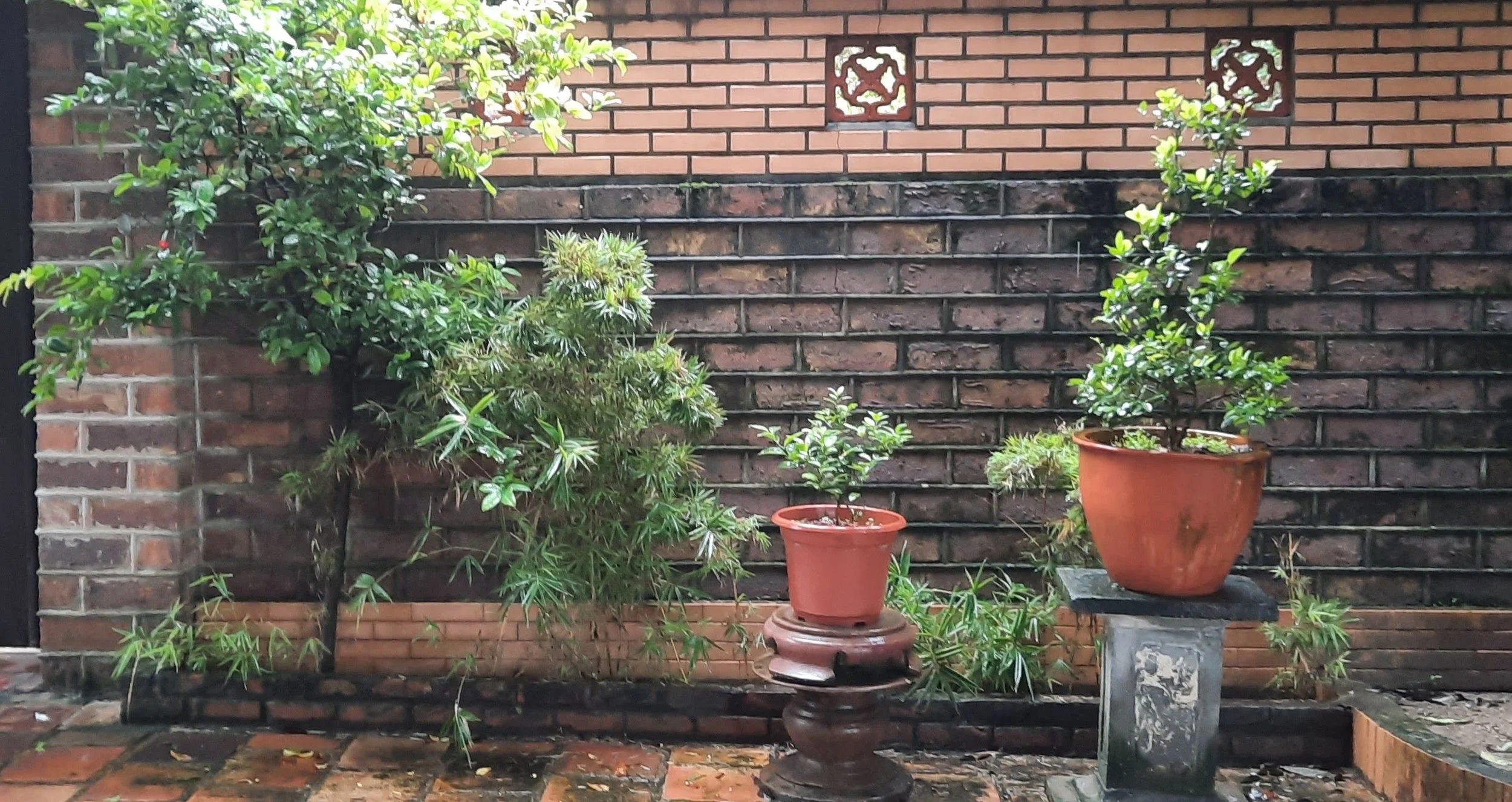 25 20251101_110444(1).jpg