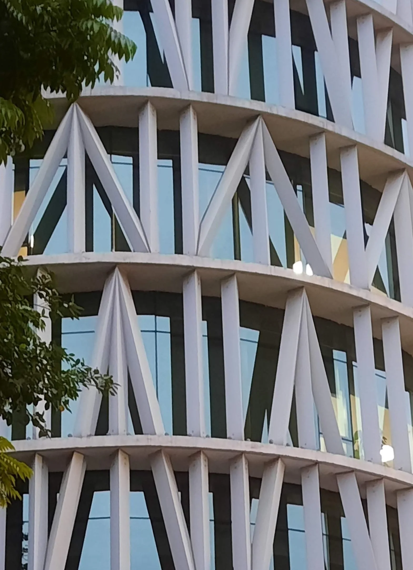 59 20251101_171647(1).jpg