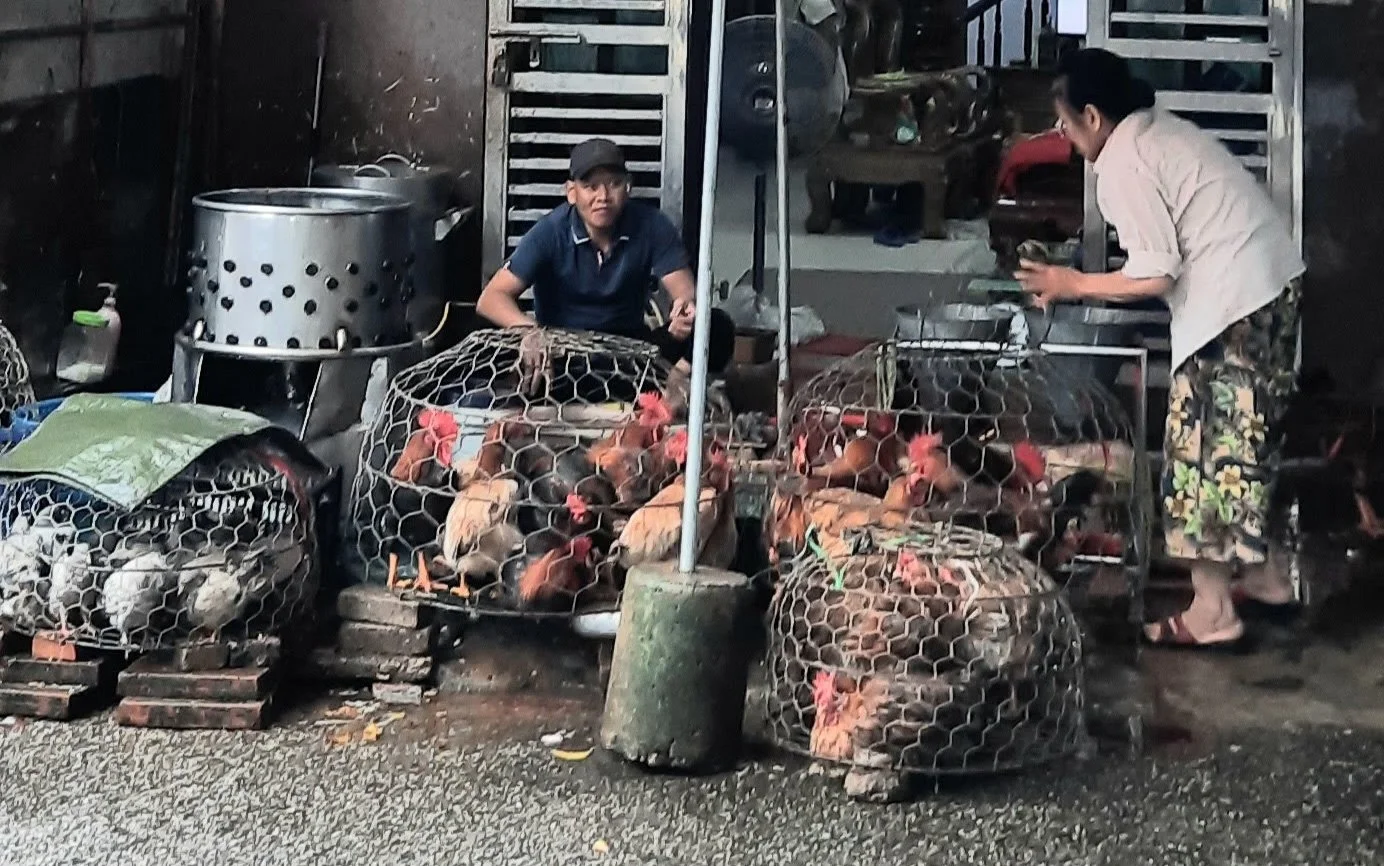 28 20251031_101523(1).jpg