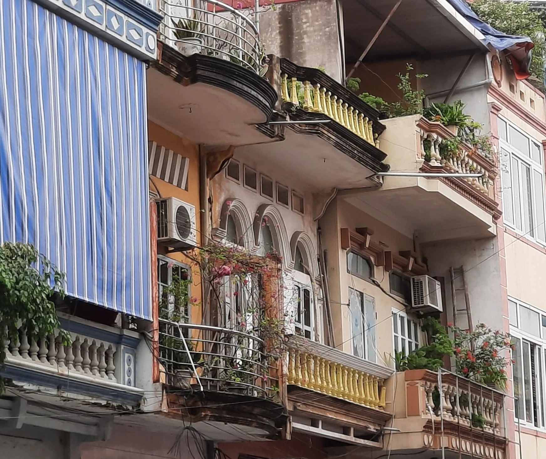 55 20251031_102649(1).jpg