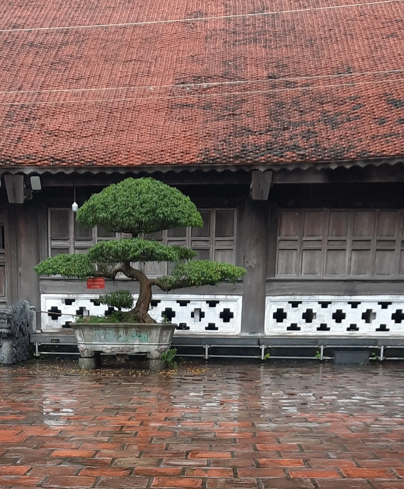 61 20251101_085701(1).jpg