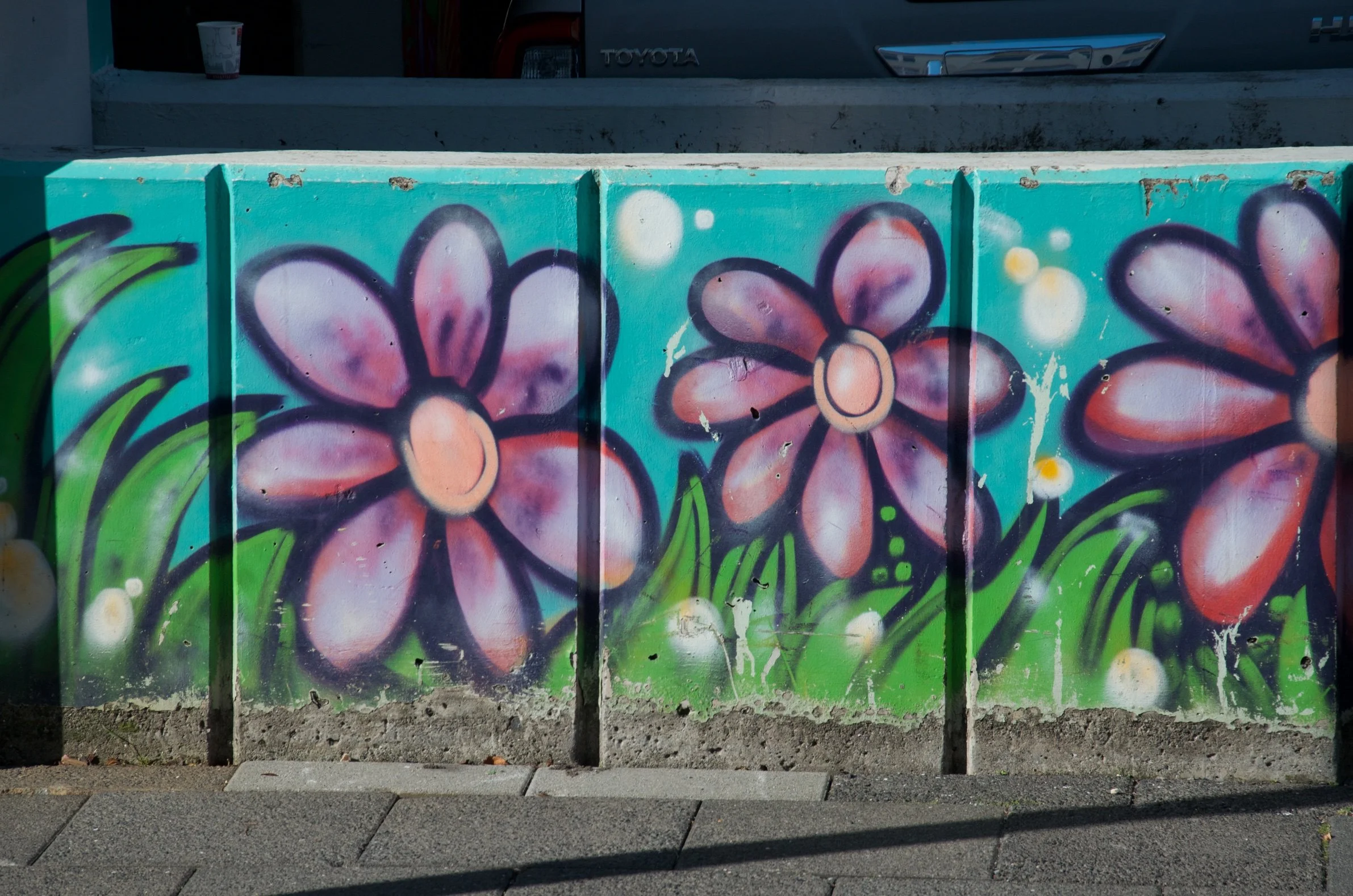 16 DSC_9566.jpg