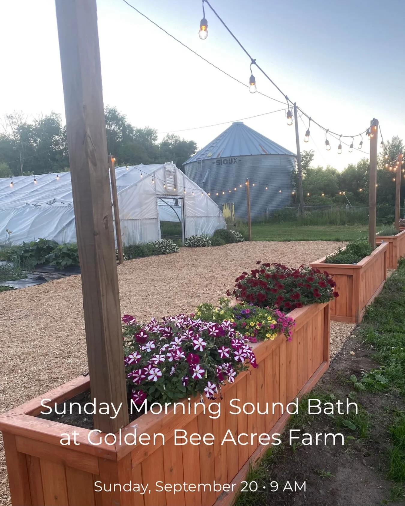 As the outdoor sound bath season begins to wind down, there are still a few opportunities to gather outside and enjoy the beautiful transition into fall. 🍂

Join me the morning of Sunday, September 20th at Golden Bee Acres Farm in Cold Spring, Minne
