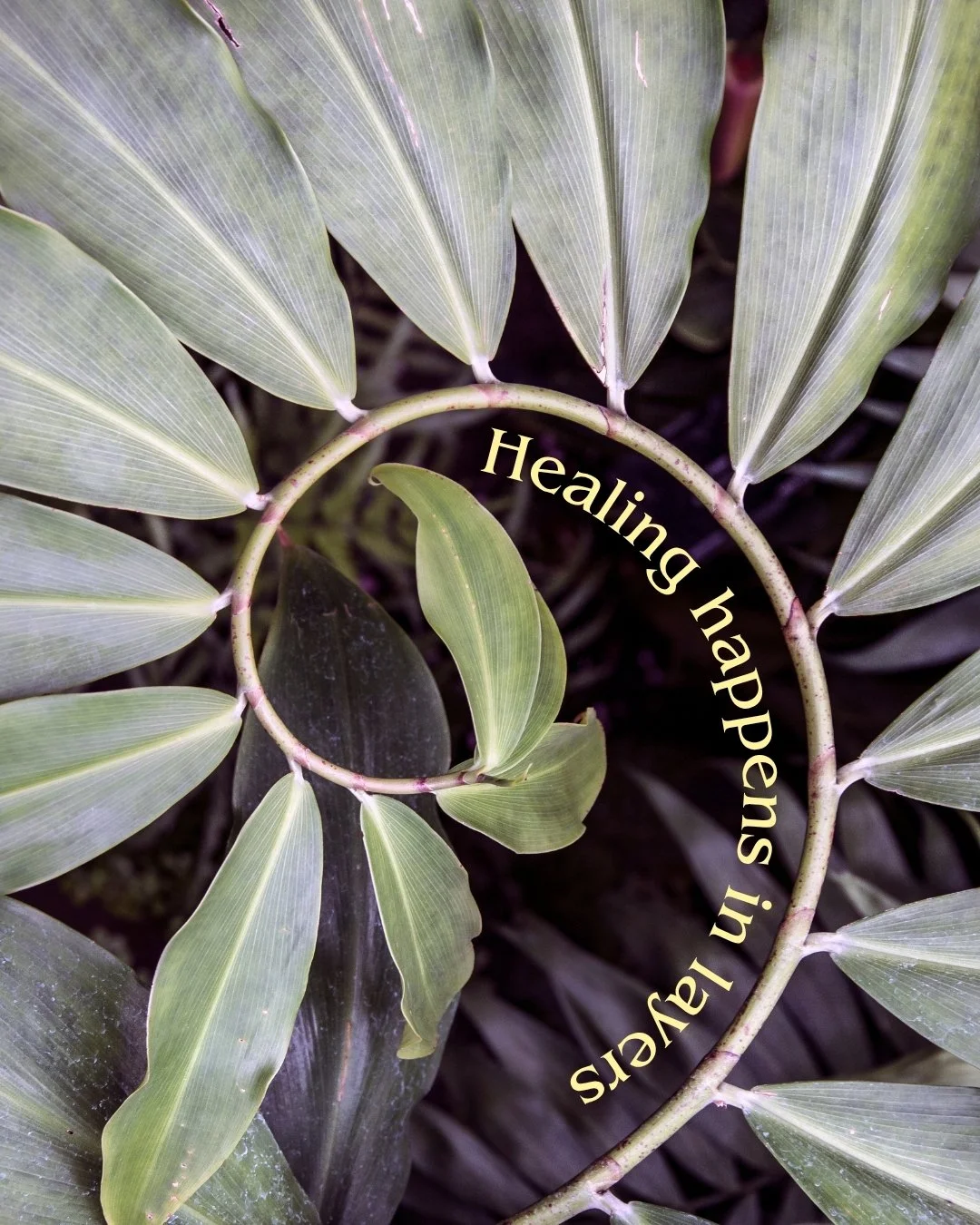 I've been thinking a lot about how rarely healing happens all at once. 

Sometimes it's a big shift. Sometimes it's subtle. Sometimes we don't even realize something has changed until we look back and notice we're not quite where we used to be. 

I t