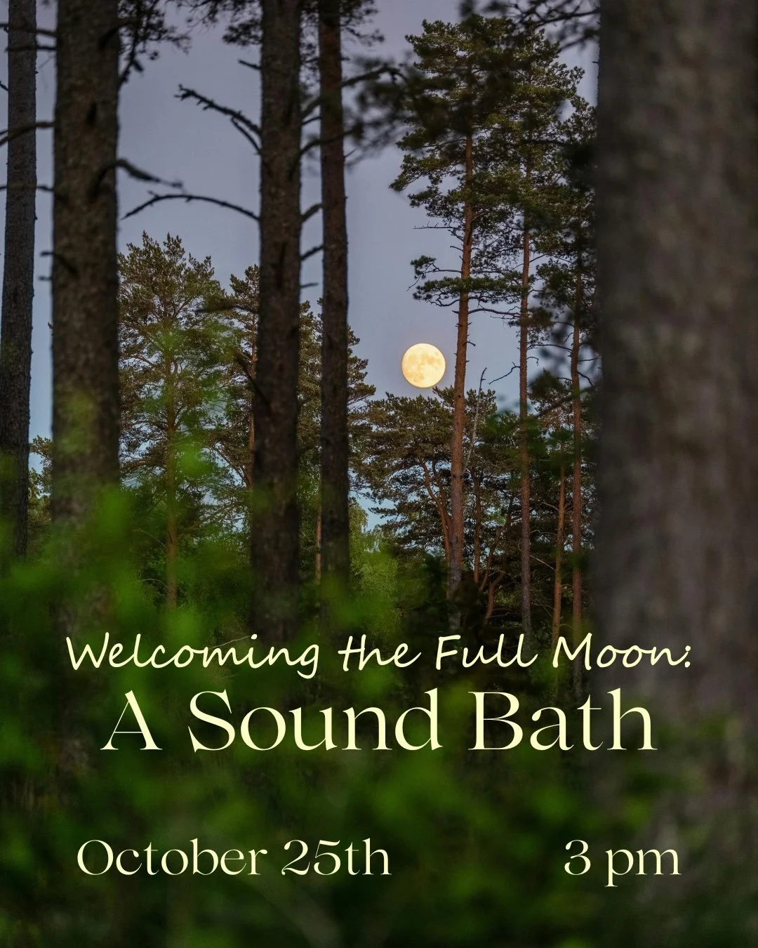 What are you holding onto that you might be ready to set down? 🍂

As the full moon approaches, we're invited to reflect on what we're carrying and what we're ready to let go of.

Join me at Soulenergy for Welcoming the Full Moon with Sound, an after