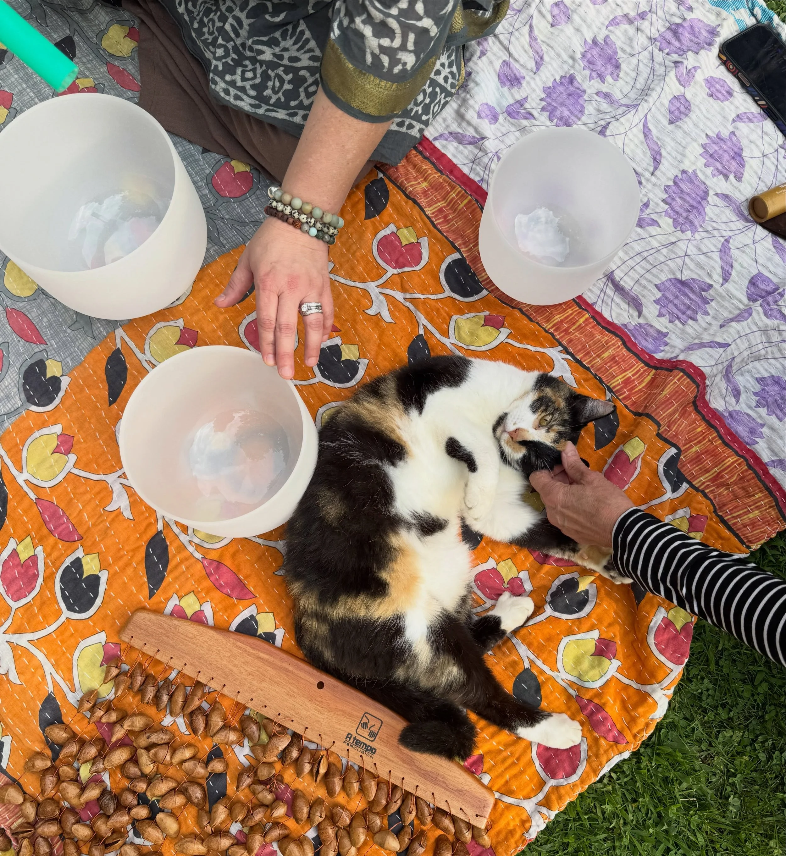 Just me, my sound bowls, some fresh air, and a neighborhood cat who decided to join me. I&rsquo;d say it was a purrrrfect evening. 🐱🫶🏻