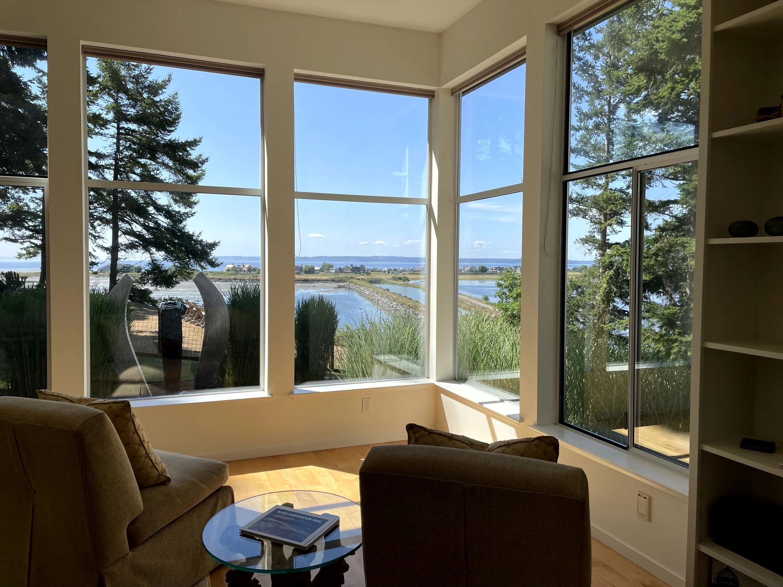 Living room with large windows overlooking a water landscape, trees, and plants outside, with two chairs, a glass table, and a bookshelf inside.