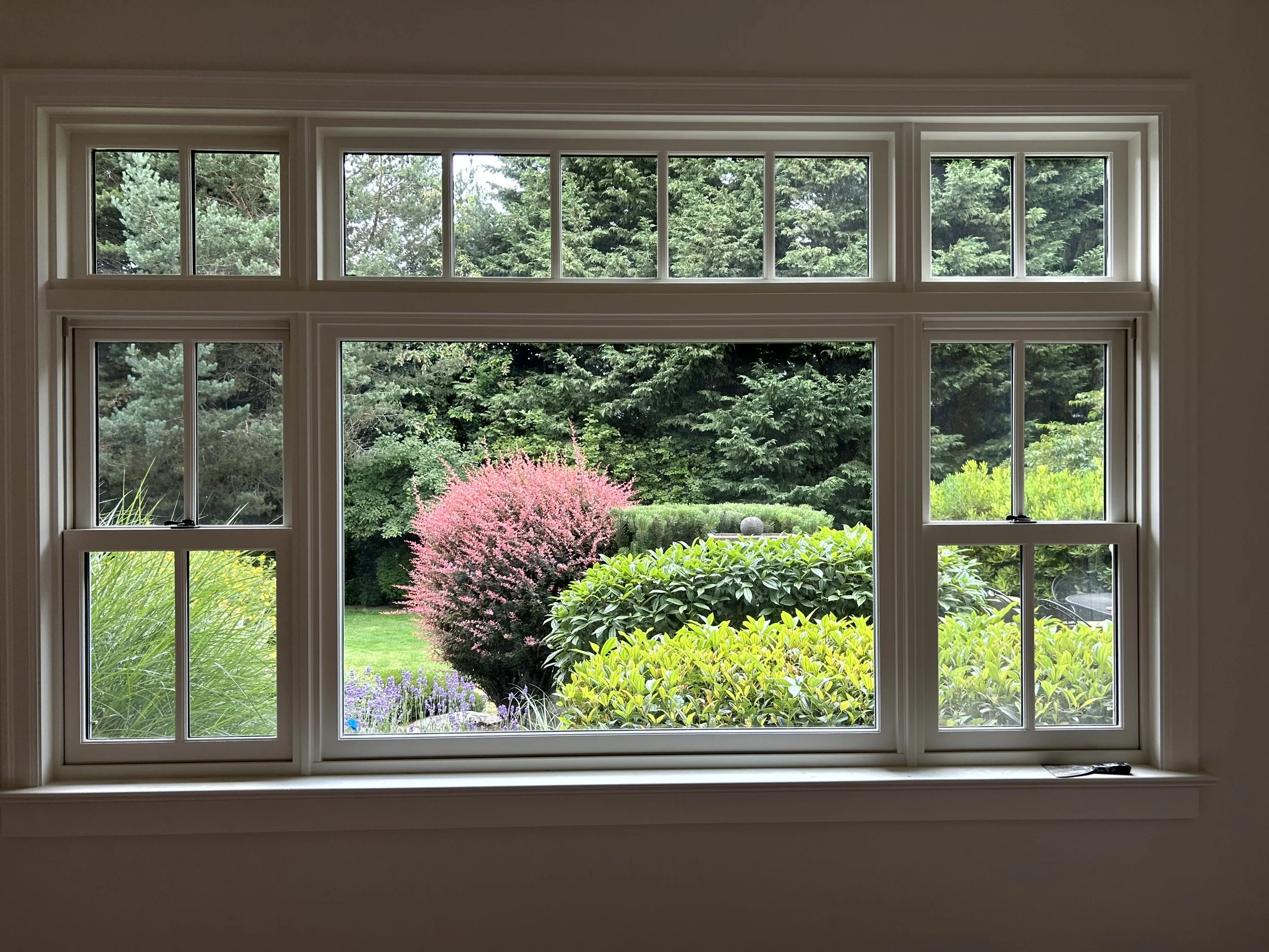 View of a lush backyard with a pink flowering bush, green shrubs, and tall trees through a large multi-pane window.