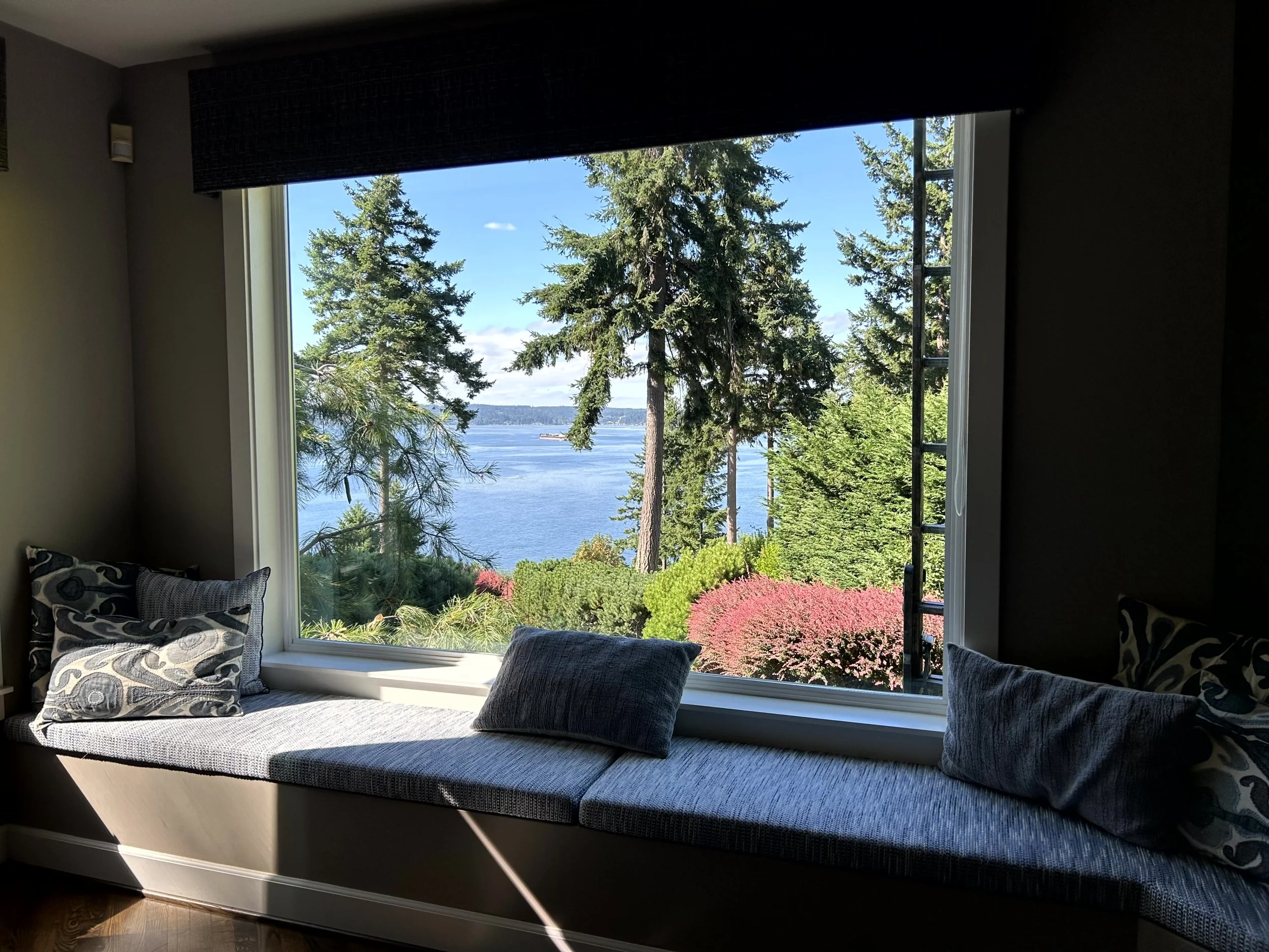 View through a large window showing trees, water, and shrubs with pink flowers outdoors, with a window seat with pillows inside.