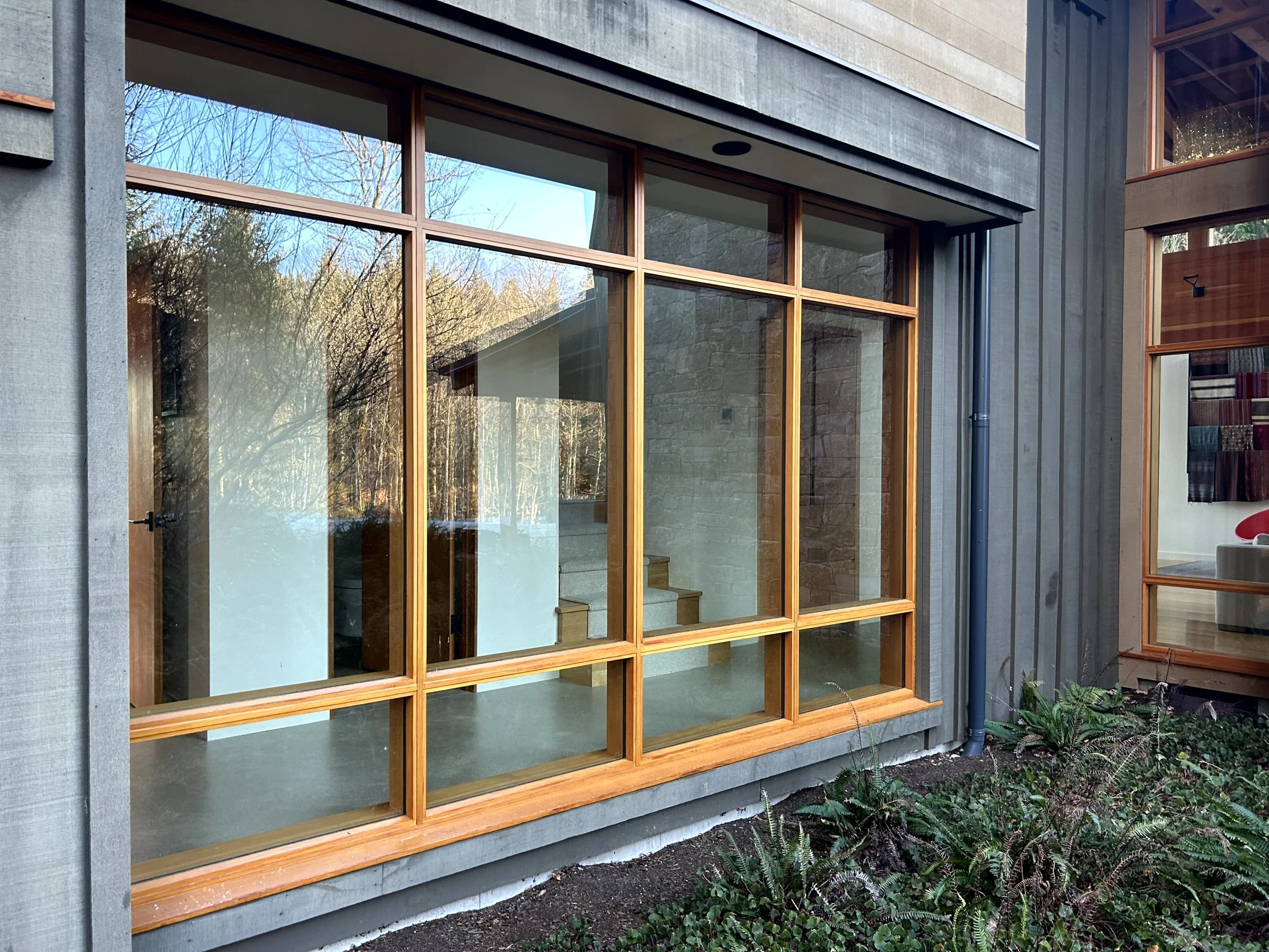 A large window with a wooden frame on a modern house, reflecting trees and sky outside, with a garden with plants below.