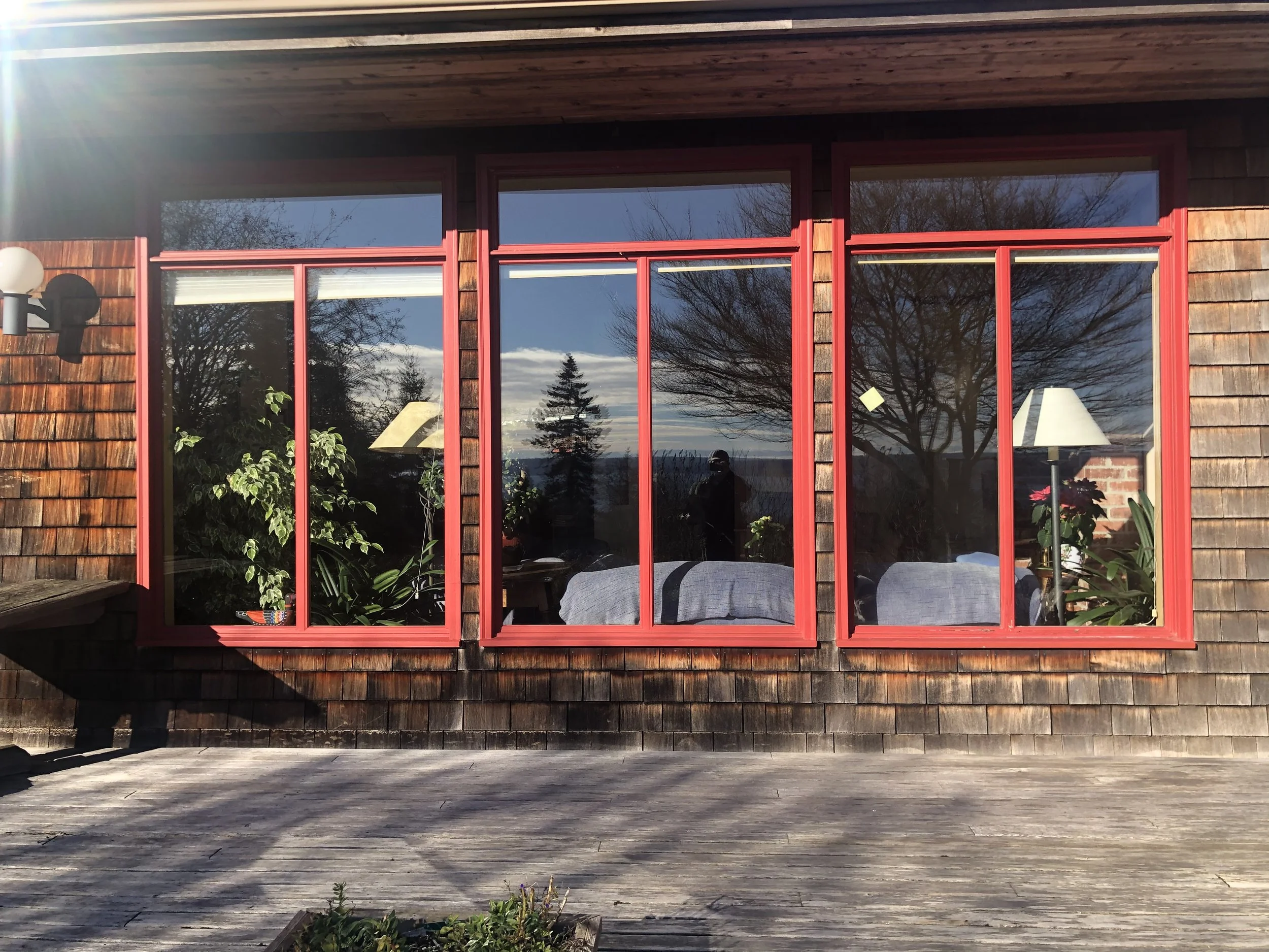 View of house window with red frame, reflecting trees and sky, with indoor plants and lamps visible inside.