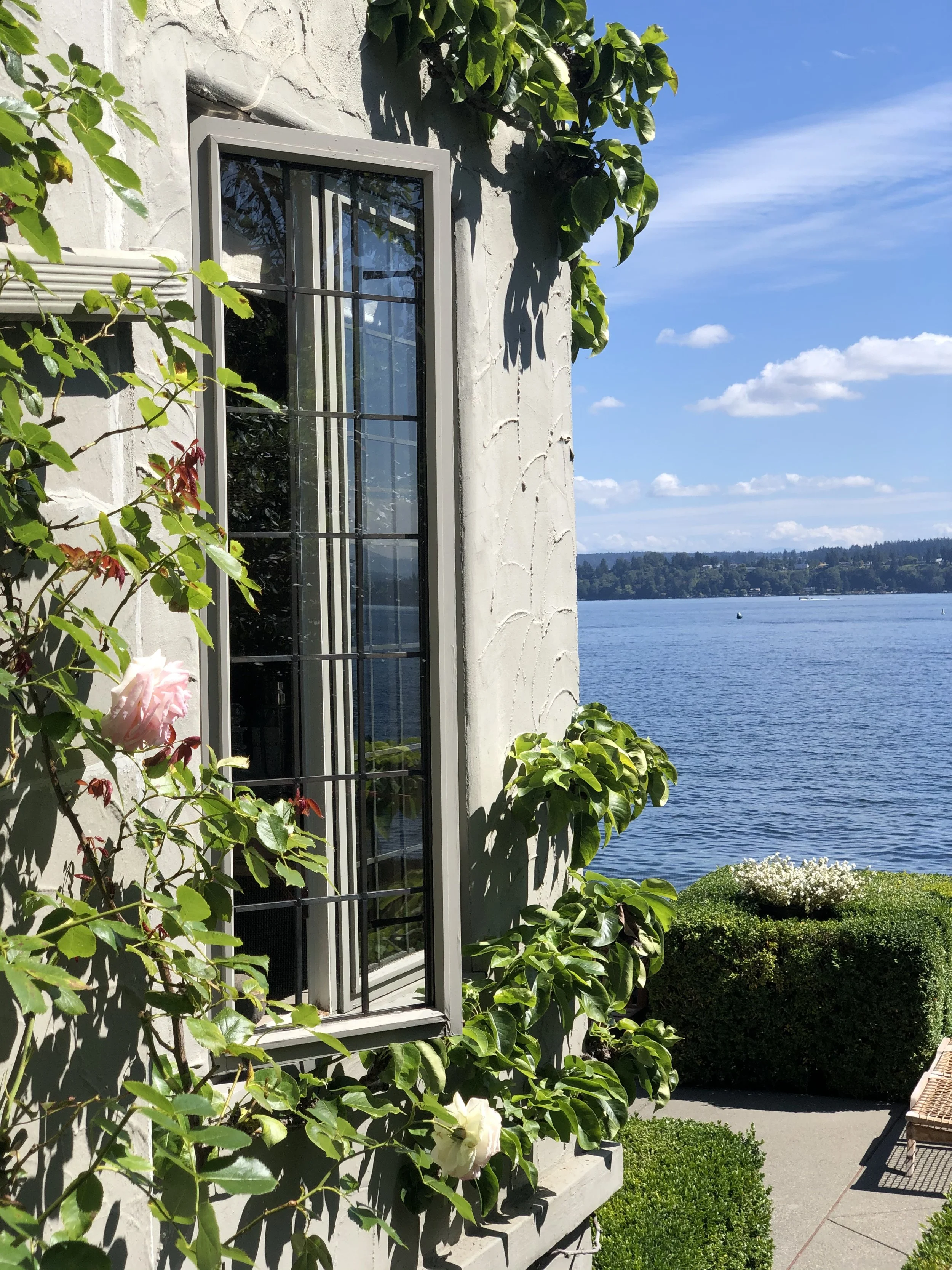 A view of a building with a window surrounded by green climbing plants, overlooking a body of water with a clear blue sky and some clouds.