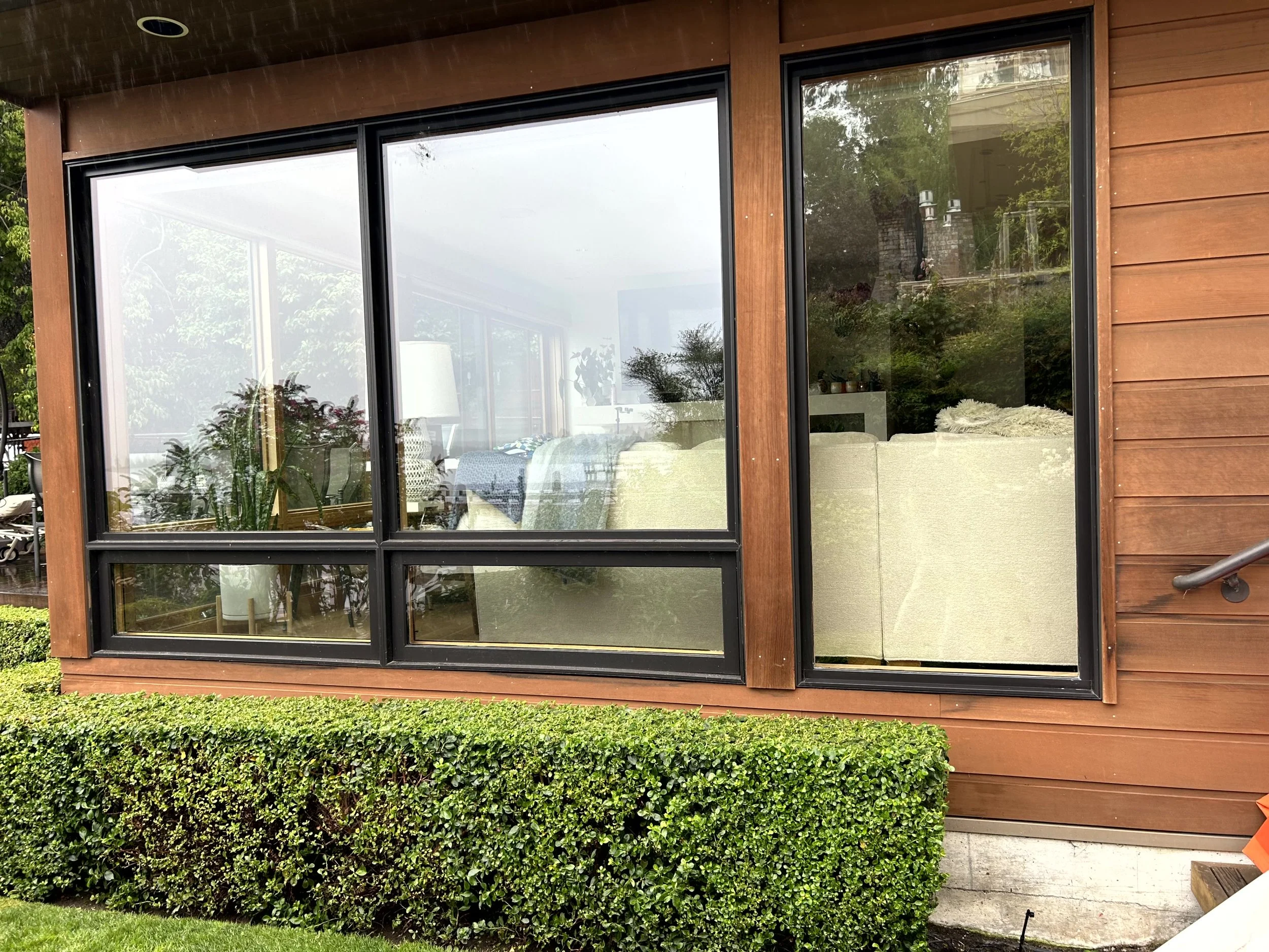 A set of large windows on a wooden house wall, reflecting the outdoor greenery, with a neatly trimmed hedge below.