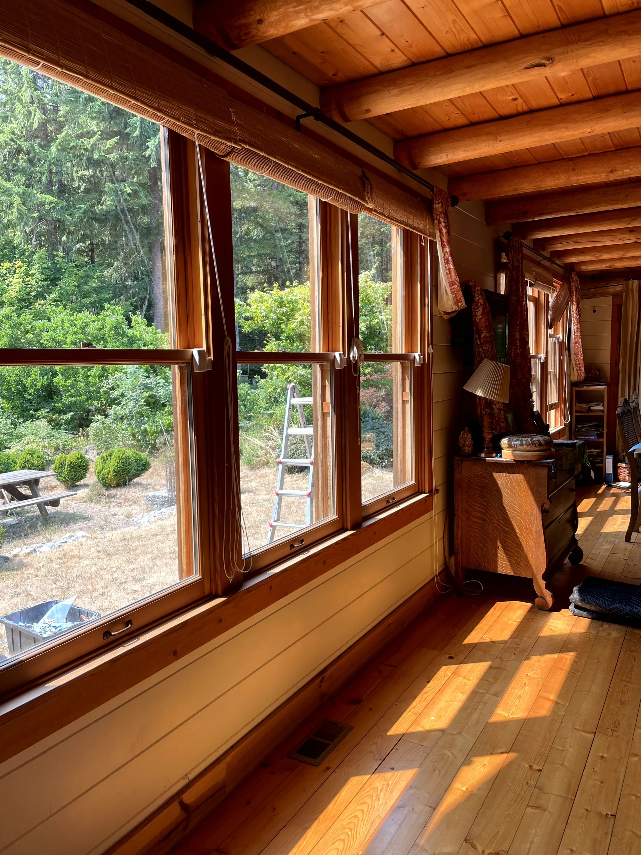 Sunlit interior of a wooden cabin with large windows overlooking trees, a ladder outside, and furniture including a dresser and a lamp.