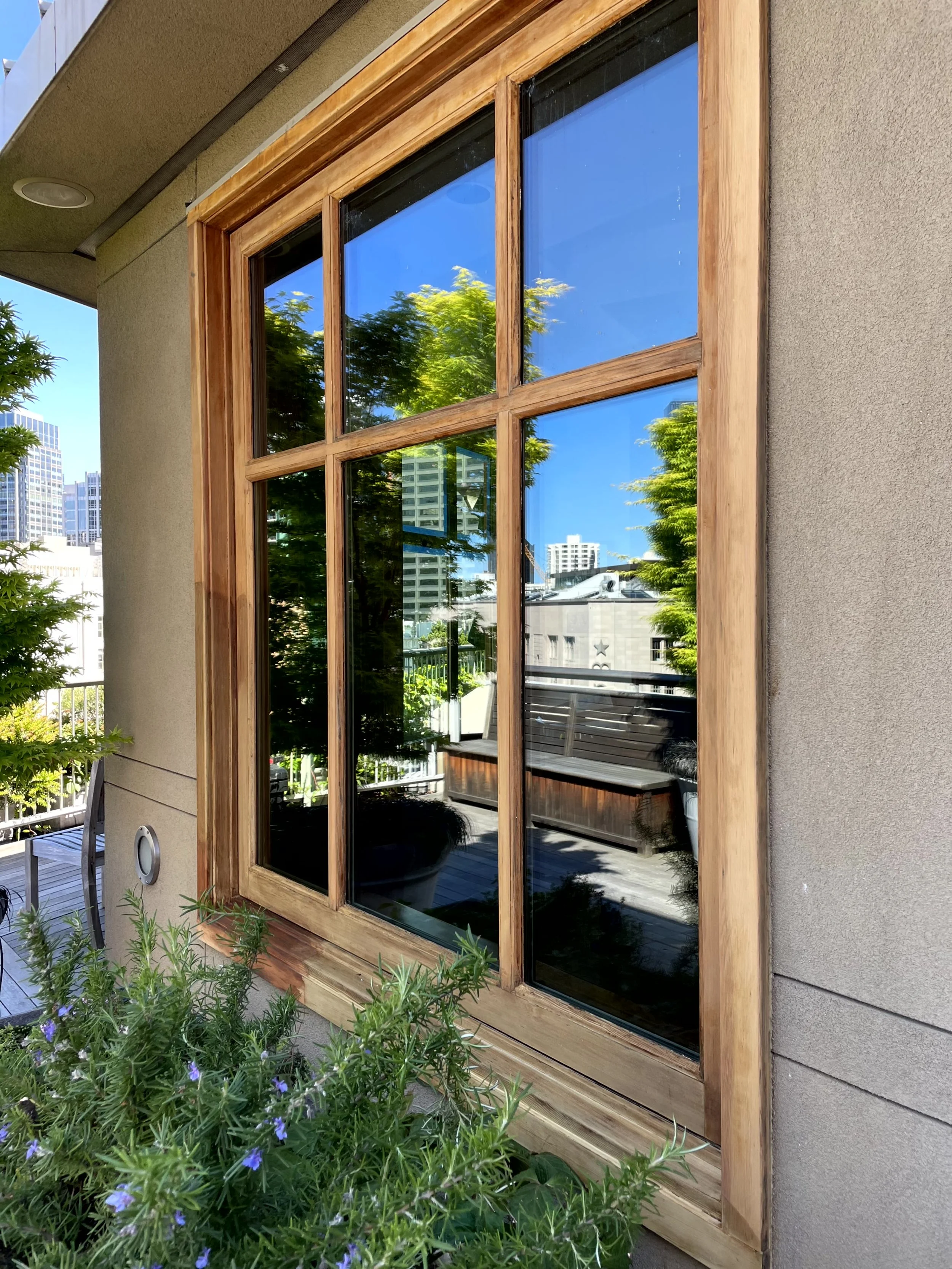 A wooden-framed window on a beige stucco wall reflects the blue sky, green trees, and nearby buildings. There are potted plants and outdoor furniture below the window.