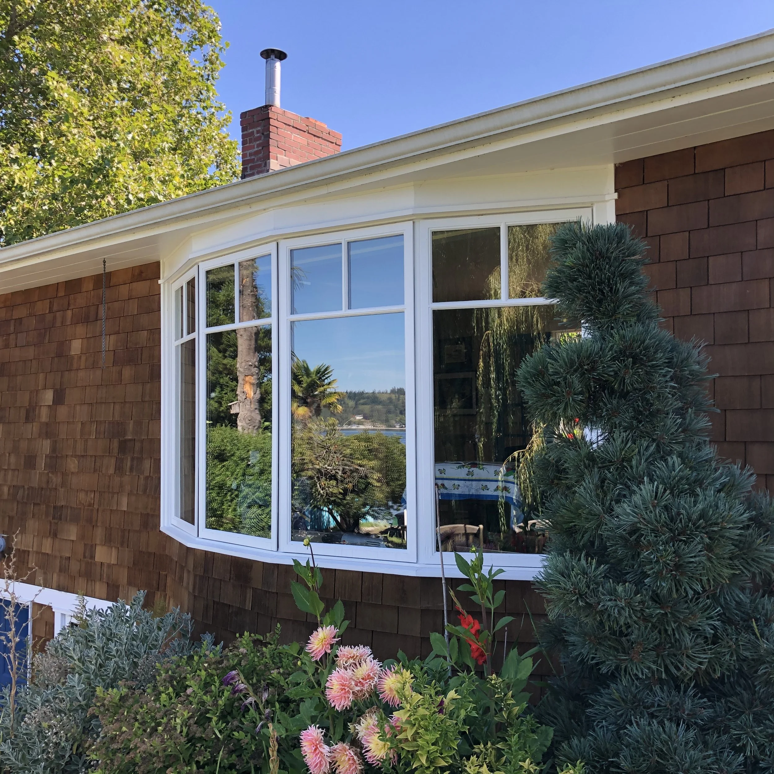 A house with a large bay window surrounded by lush garden plants and flowers, with clear blue sky in the background.
