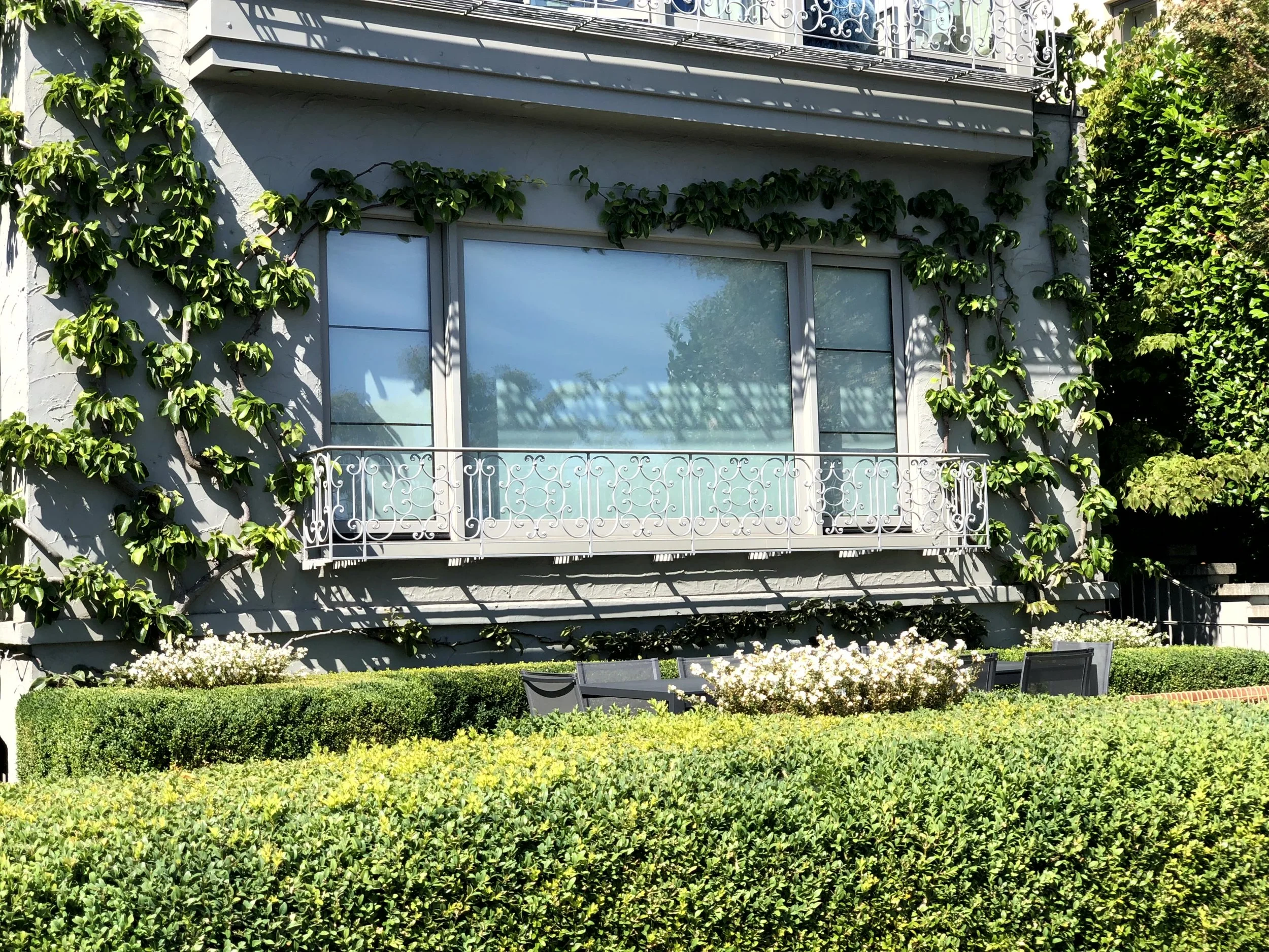 A house with large window, white wrought-iron balcony railing, green climbing plants on the exterior wall, and a well-maintained garden with trimmed hedges, white flowers, and outdoor chairs.