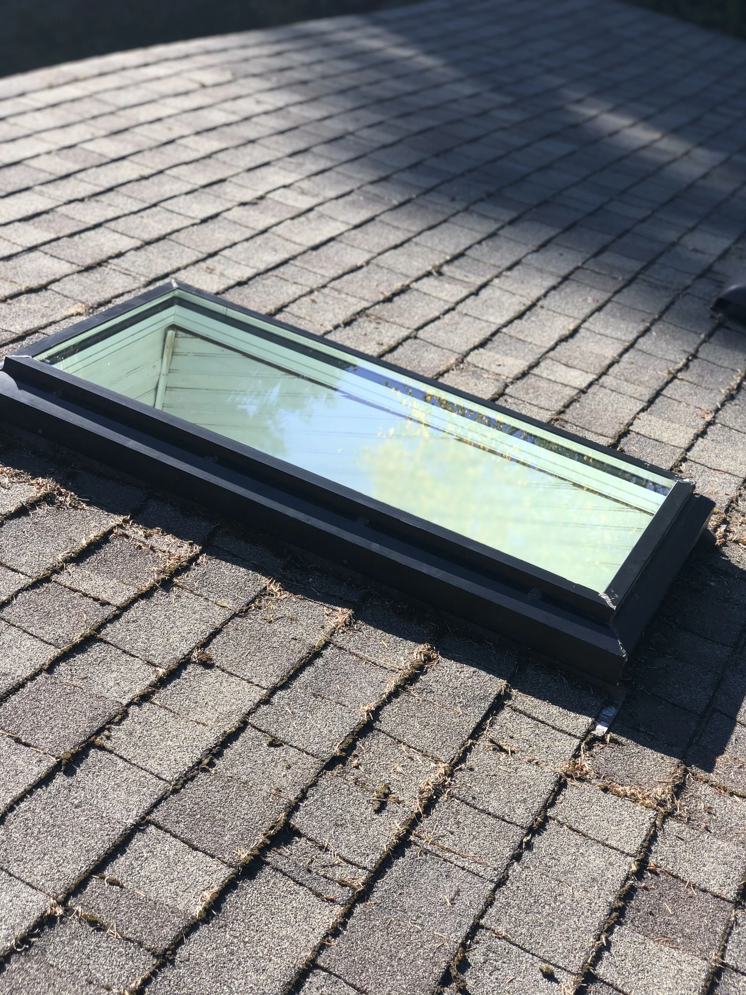 A rectangular skylight window installed on a shingled roof, reflecting the sky and nearby trees.