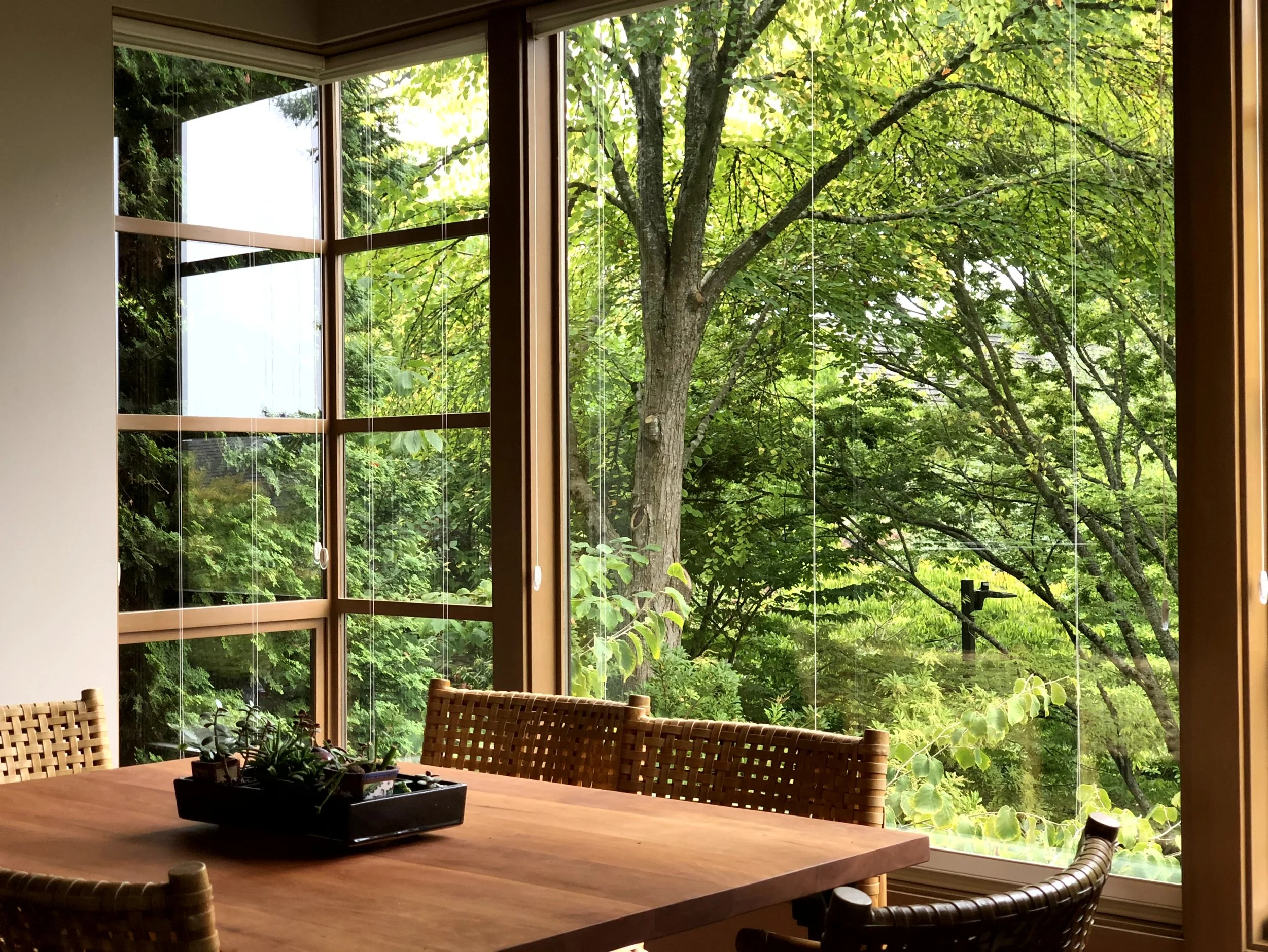 Indoor dining area with a wooden table and chairs, large windows showing lush green trees outside, potted plants on the table.