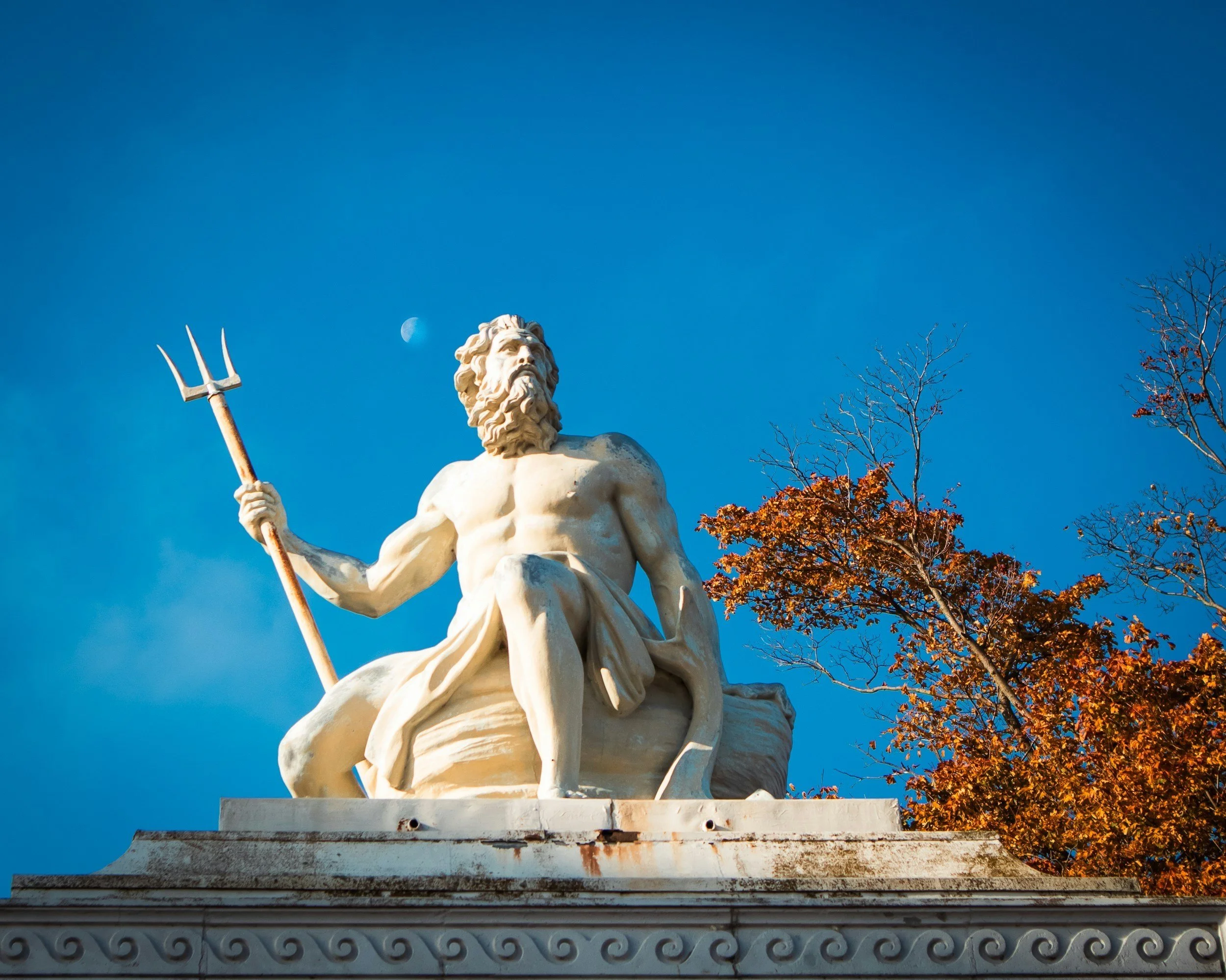 Latin Language courses