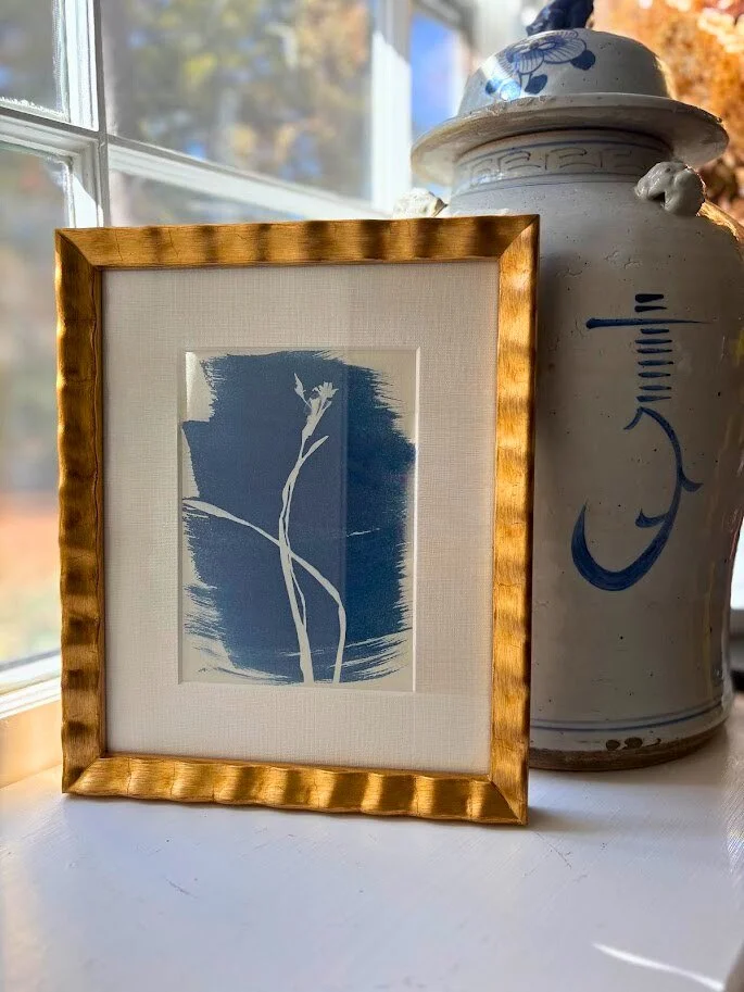 Paperwhite Narcissus