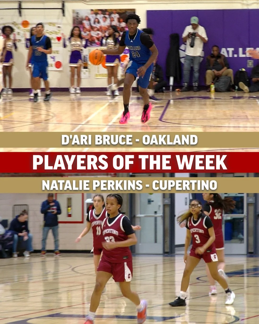 D&rsquo;Ari Bruce and Natalie Perkins are the Players of the Week 🥳 D&rsquo;Ari dropped 19 points in Oakland&lsquo;s win over rival Oakland Tech 🙌 Natalie add 18 points with 10 rebounds in the Cupertino win last week 😤