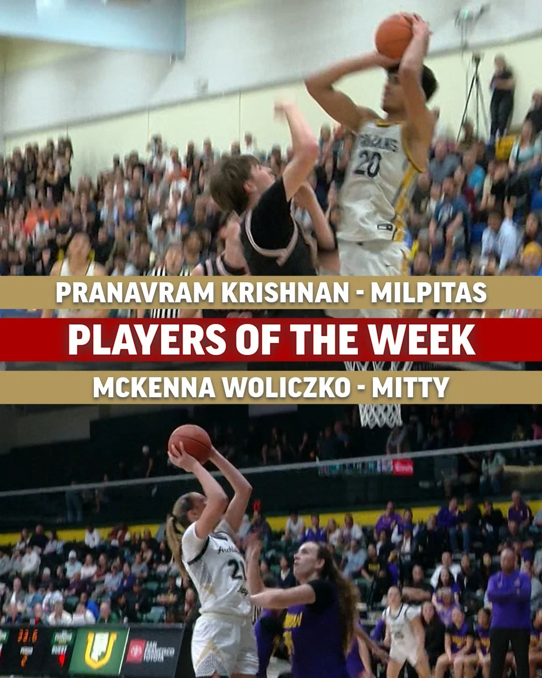 @p_hoopxz and @mckennawoliczko are the Players of the Week! Pranavram had 24 points in the Milpitas game and McKenna dropped 27 with 6 rebounds in the Monarchs section title game!