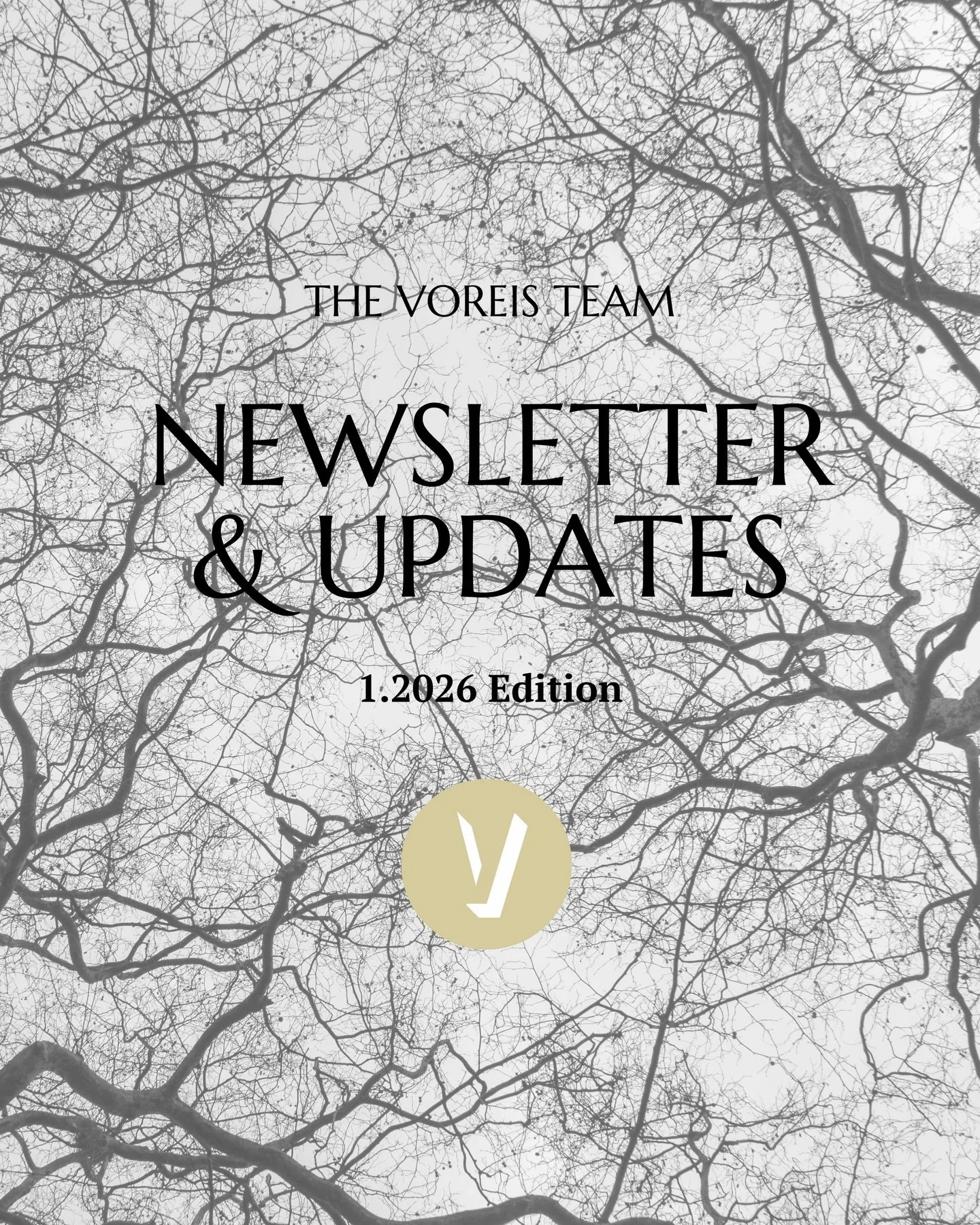 The Voreis Team Newsletter | Duality &amp; The New Year

Fresh start.
Cozy sweatpants.
Energizing.
Exhausting.

The New Year dabbles in both excitement and rest.  We recognize and embrace it all.
 
#realestate #mnrealtor #corealtor #womeninrealestate