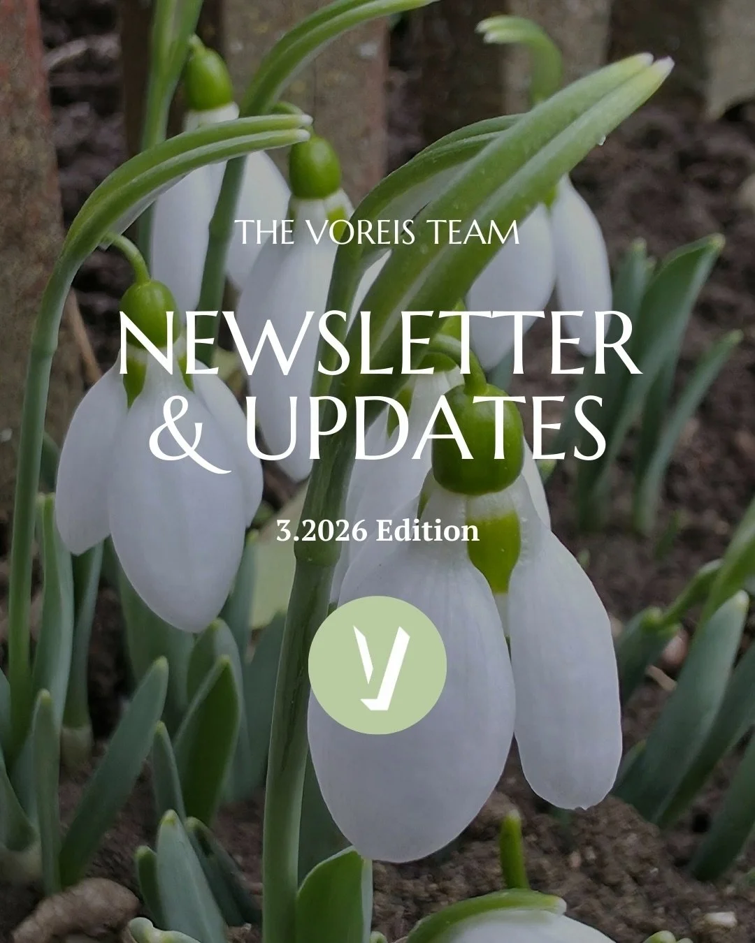 Joy feels louder lately. Showing up in dancing at protests, funnier signs in the streets, artists like Bad Bunny embracing authenticity, and powerful moments from women at the Olympic Games. It reminds me that Joy isn&rsquo;t just resistance, it&rsqu