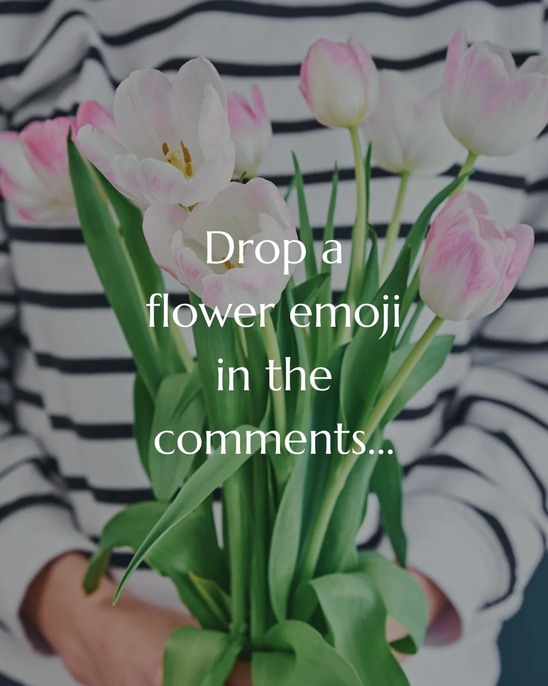 🌷Spring Flower Giveaway! 🌷 We&rsquo;re gifting one lucky winner a flower shop gift card to treat someone special to some beautiful blooms!

💛To enter: 
Comment with a flower emoji
Like this post
Follow us
Tag a friend in the comments. 💖

🎉Enter 