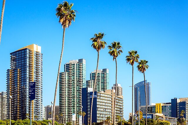 Seattle skyline with high-rise buildings and tall palm trees against a clear blue sky.