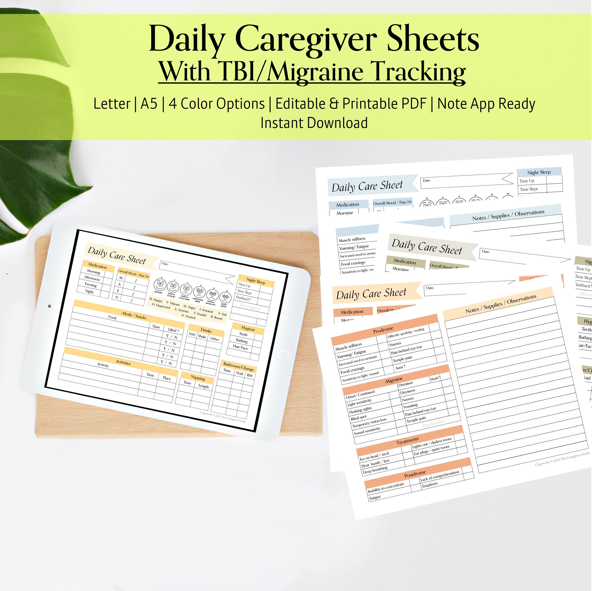 TBI-Migraine Daily Care Sheets