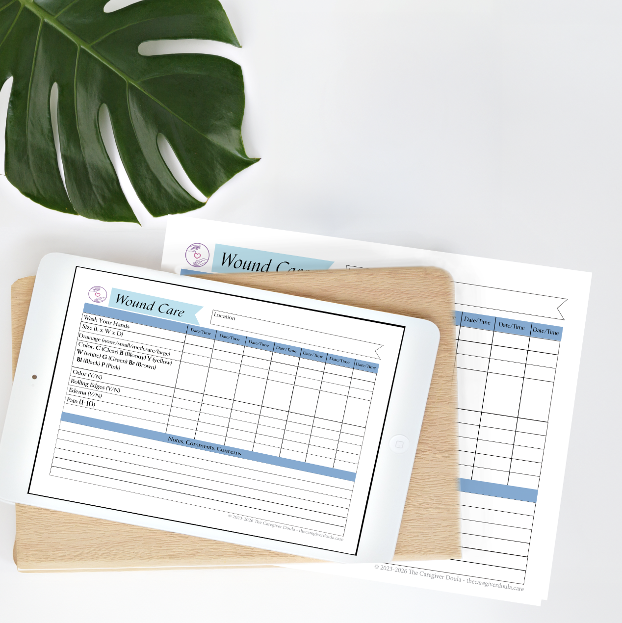 Wound Care Documentation Sheet