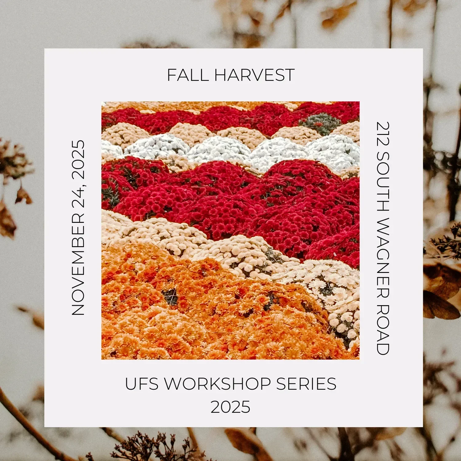 fall_harvest_11.24_workshop_68a75f28ec5e0.png.webp